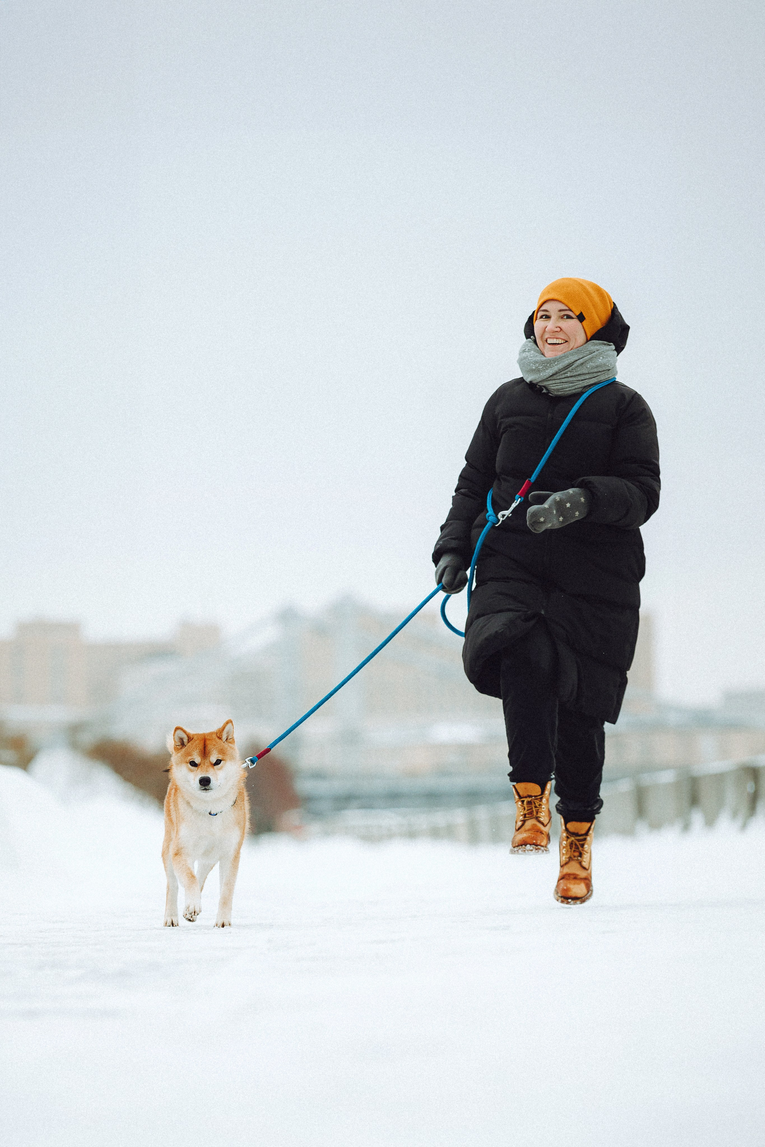 Настя и Ронин