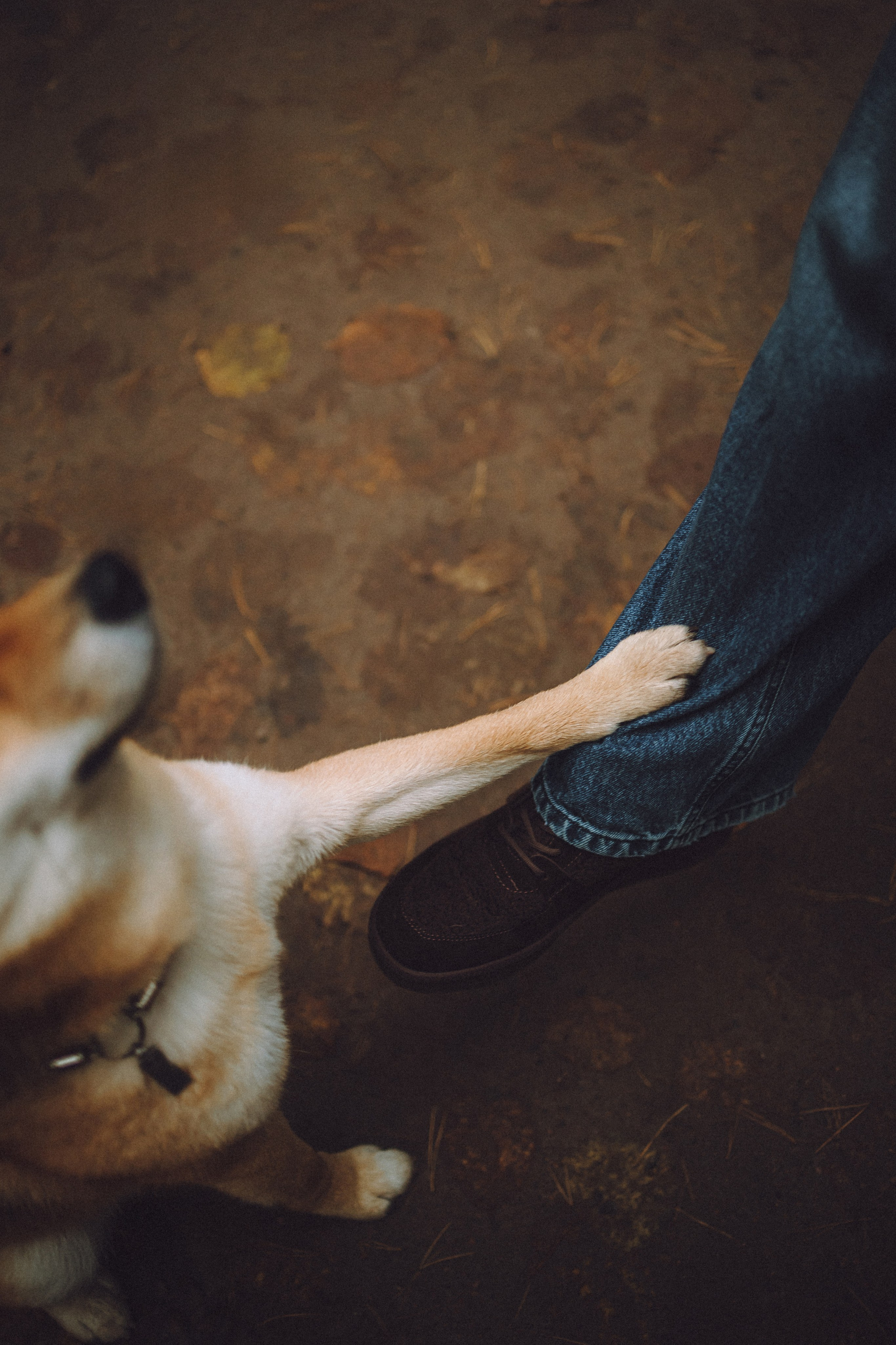 Настя, Юра и Скай