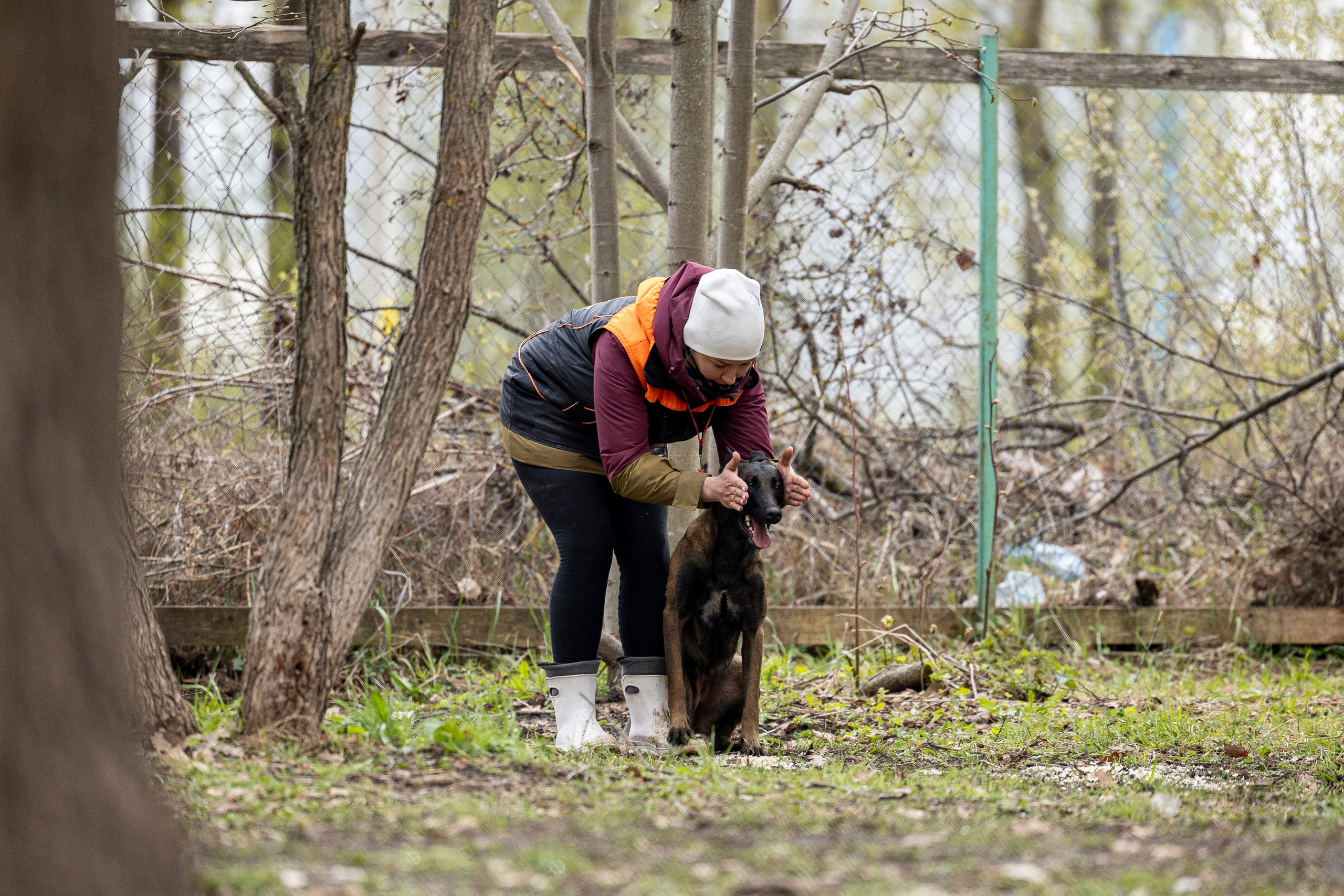 Квалификационные состязания по мондьорингу г. Вологда 11.05.24. Фотограф-анималист Анна Маринич