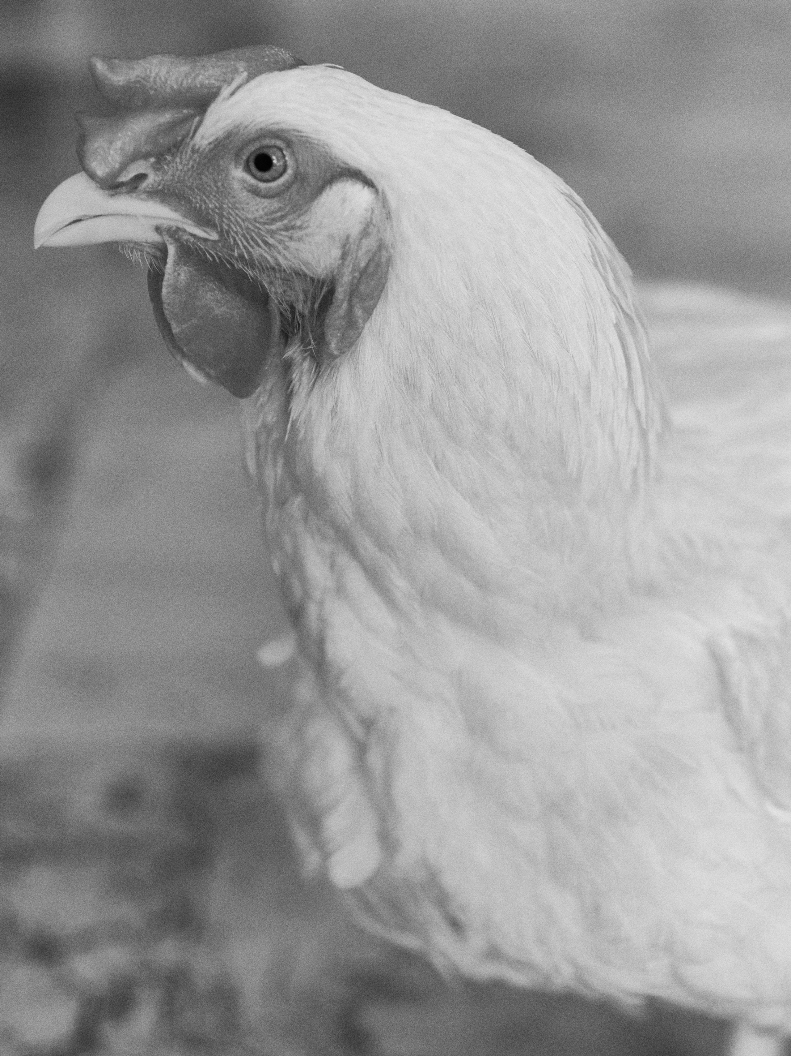 B&W. Jorgis — фотограф в Хургаде / обучение фотографии