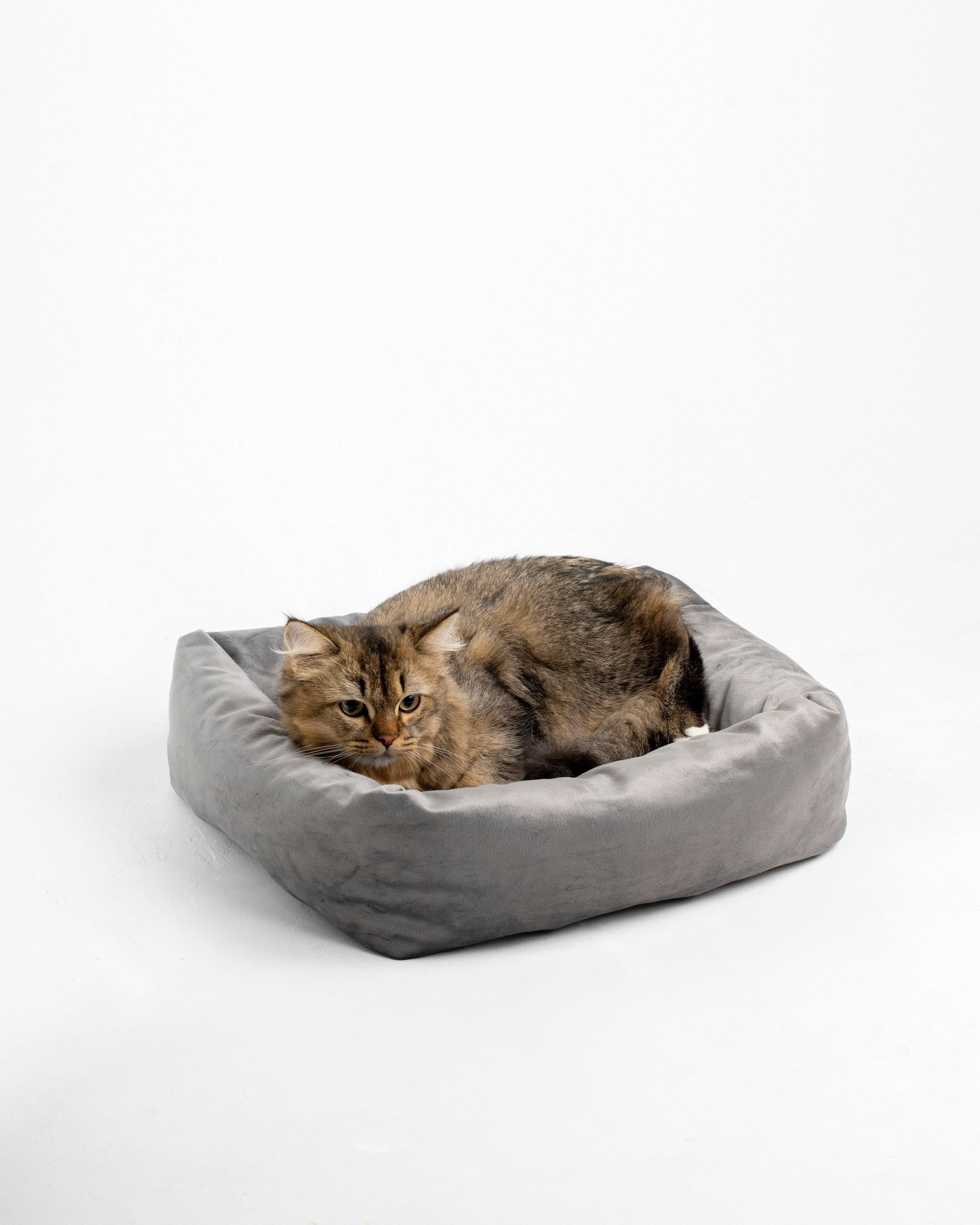 Лежанки для животных. Предметный & фудфотограф Рязань