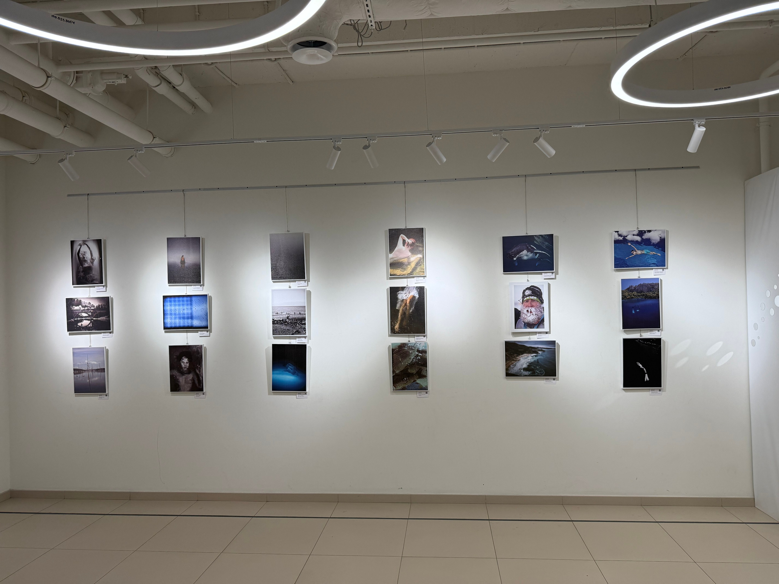 Ростов-на-Дону «Мир в Деталях» и «1000 лиц воды». ARTEXPOPHOTO
