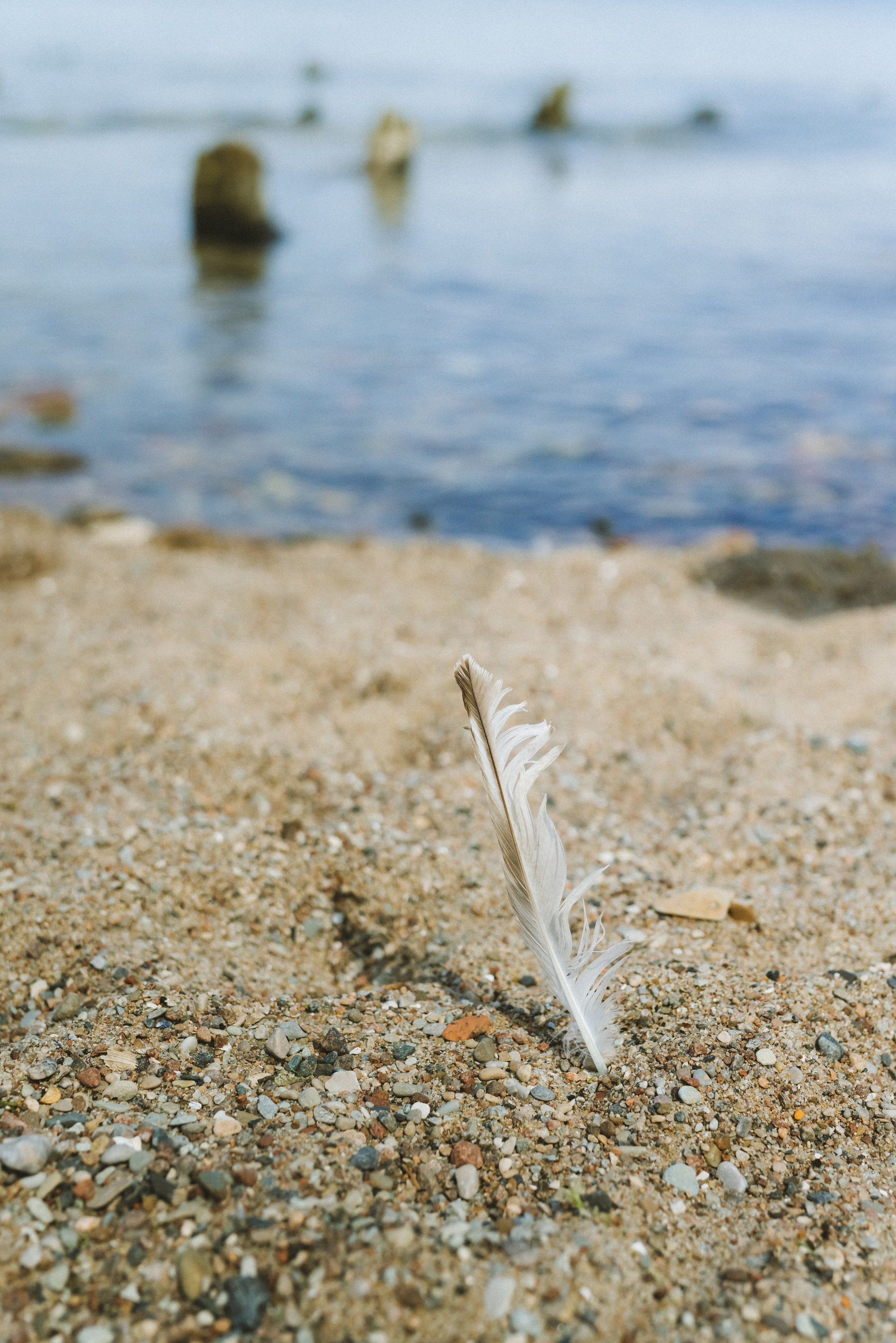 Разная Балтика = Разная Юлия. Фотограф Зеленоградск Красильникова Елена