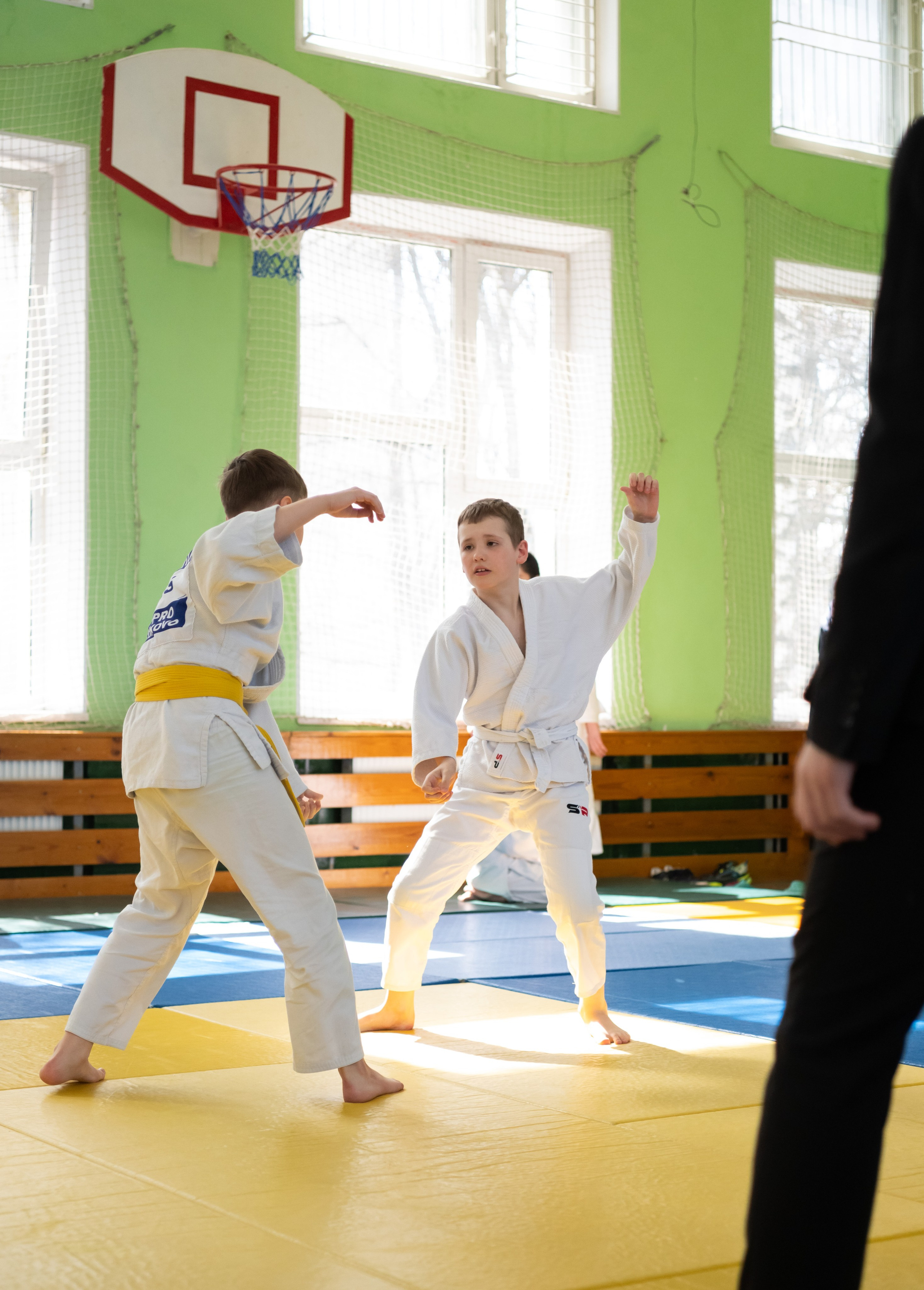 Спортивные соревнования по Дзюдо. Детский и семейный фотограф г. Москва Оксана Катаджи