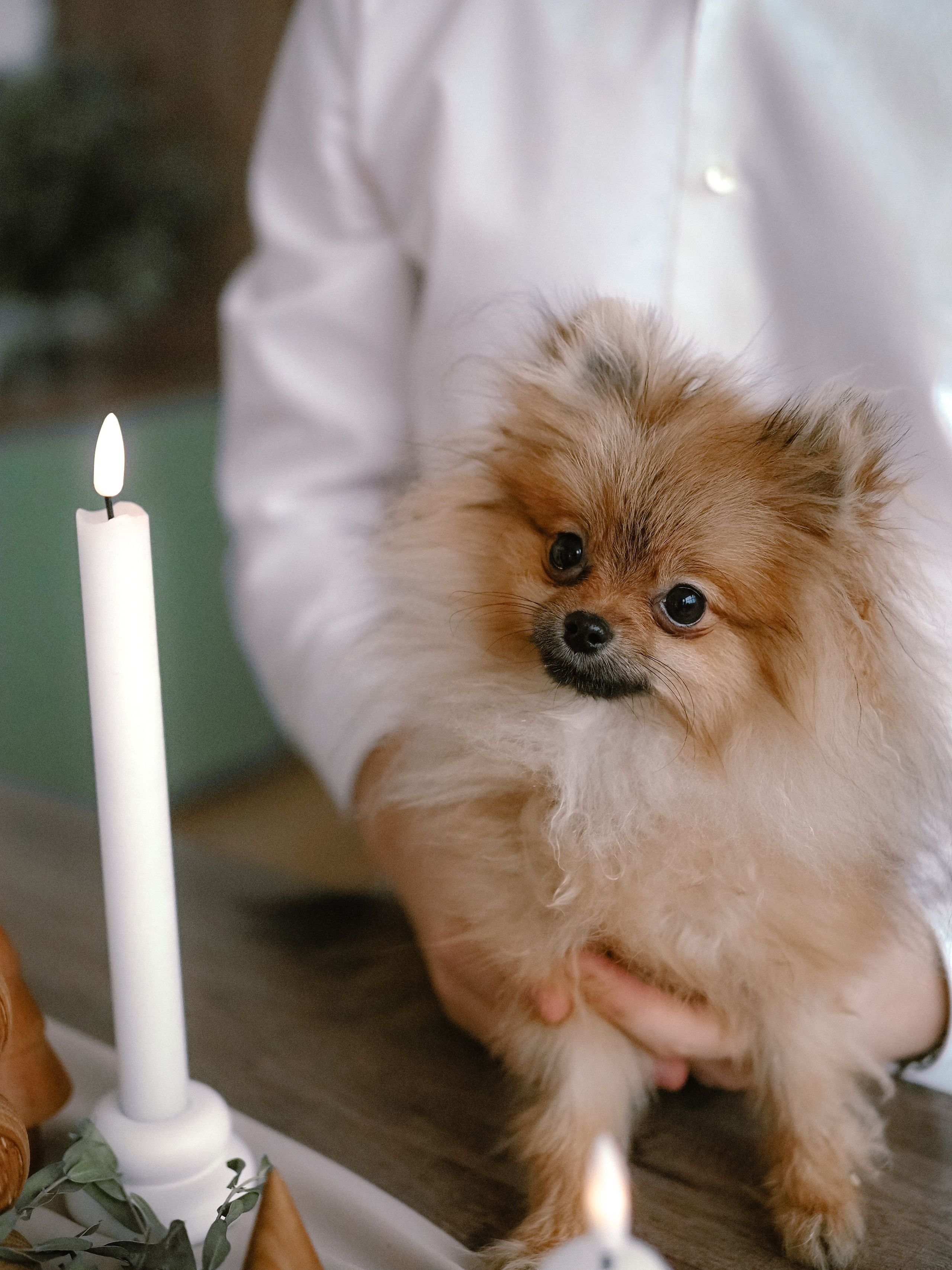 Нежные новогодние. Фотограф Рязань. Семейный Свадебный фотограф