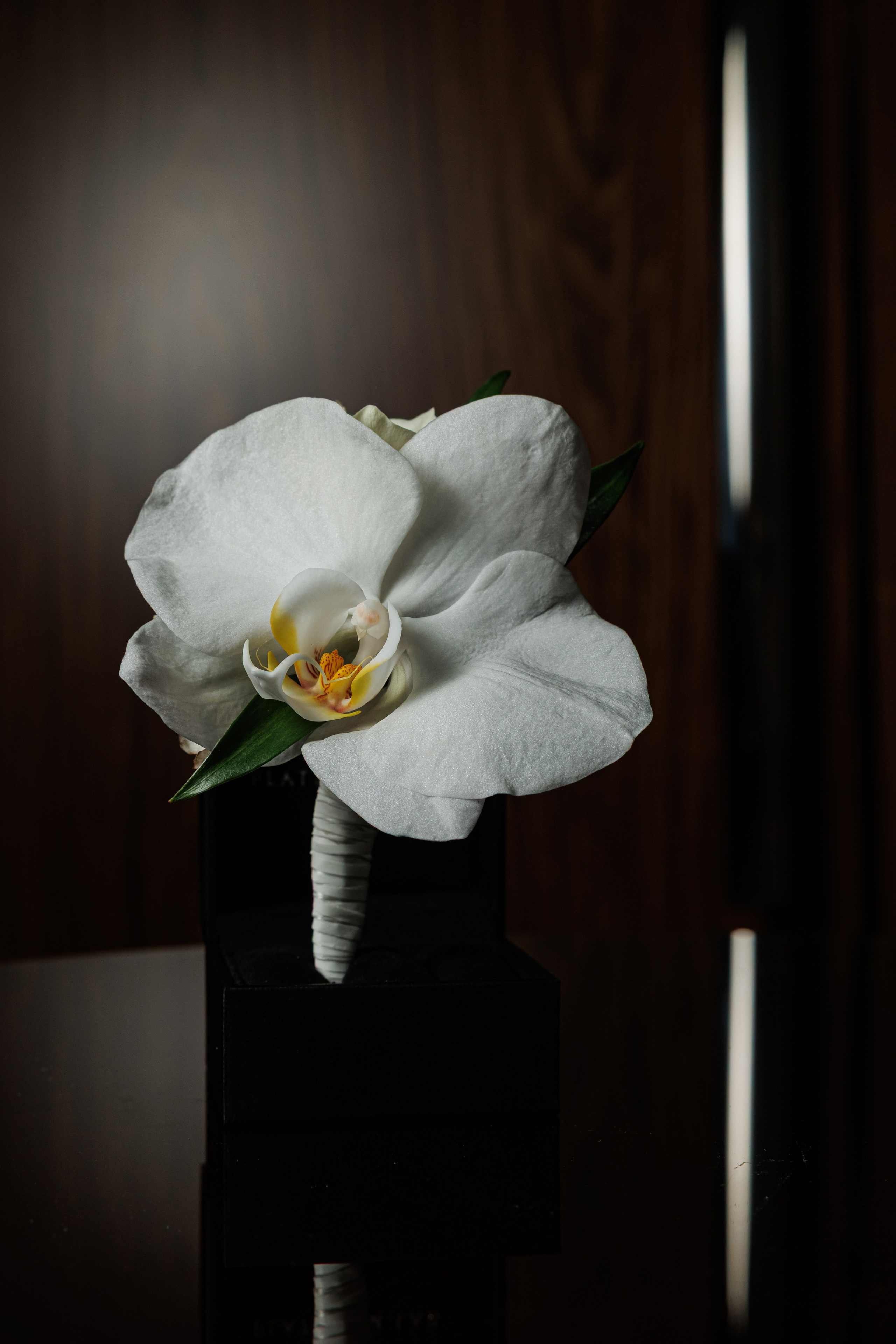 Турандот. Репортажный фотограф Ольга Кочетова в Москве