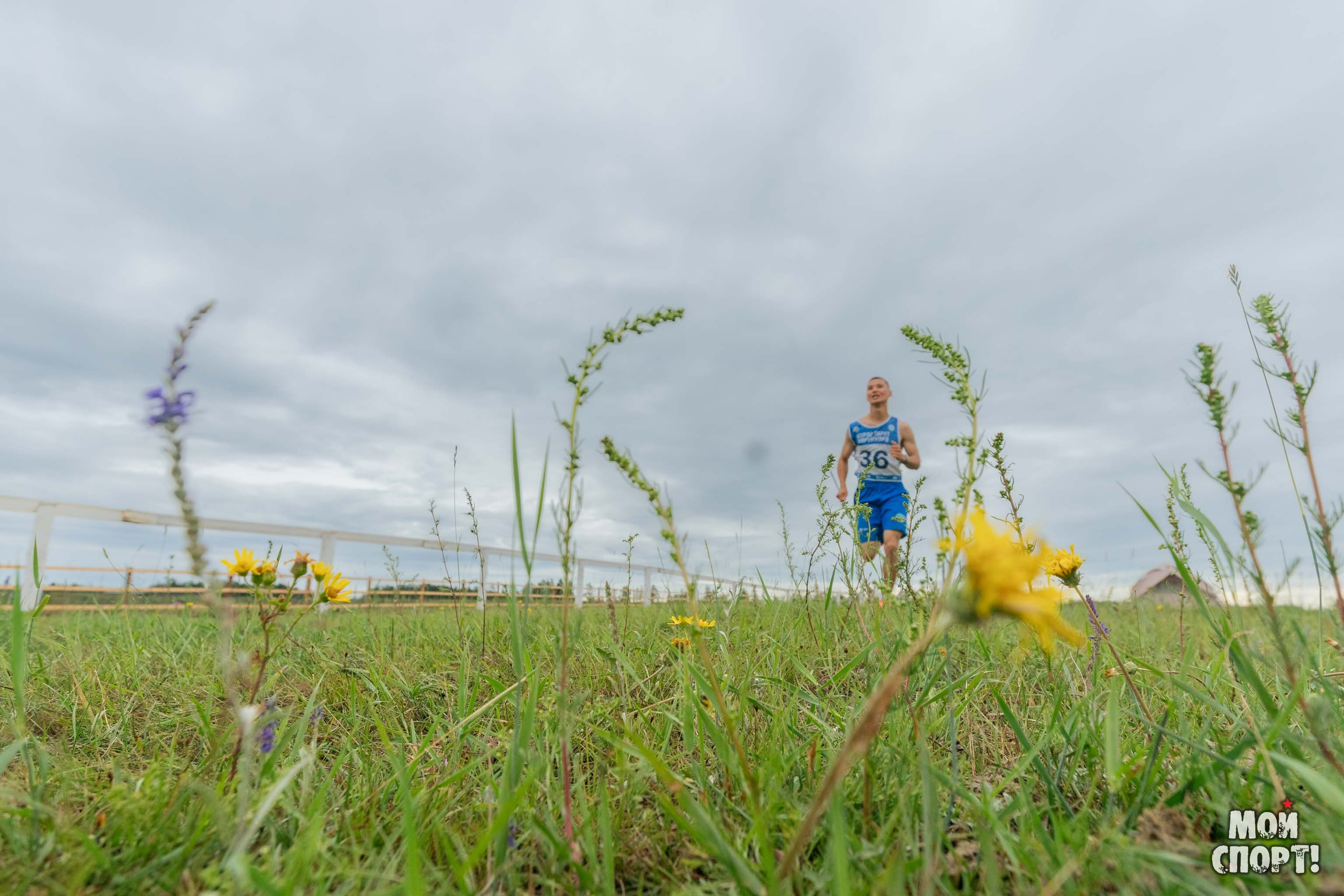 Игры Манчаары 2025. Таатта. Студия «Мой Спорт!» — все о спорте в Якутии