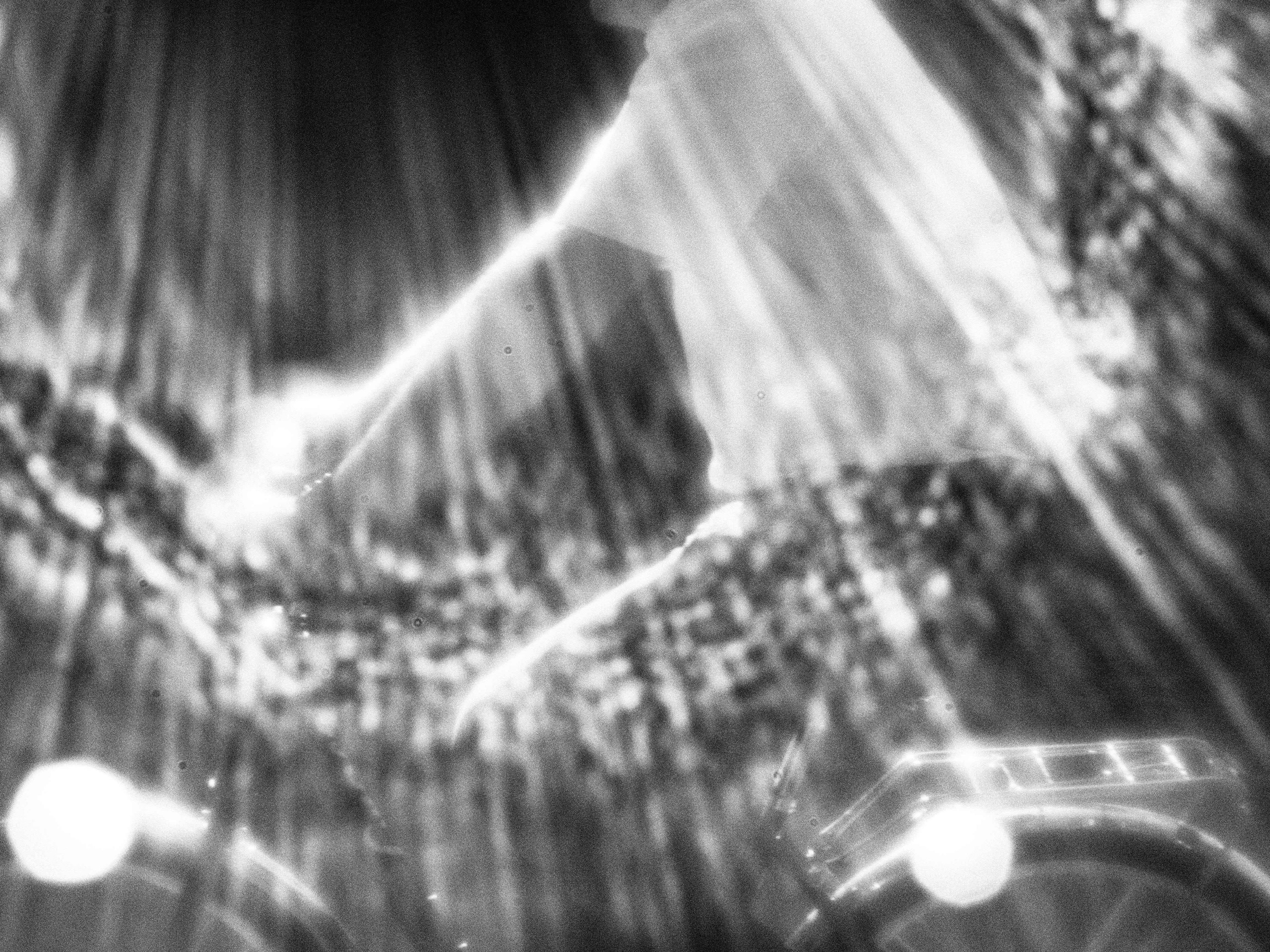 Промежуточные моменты (2023)