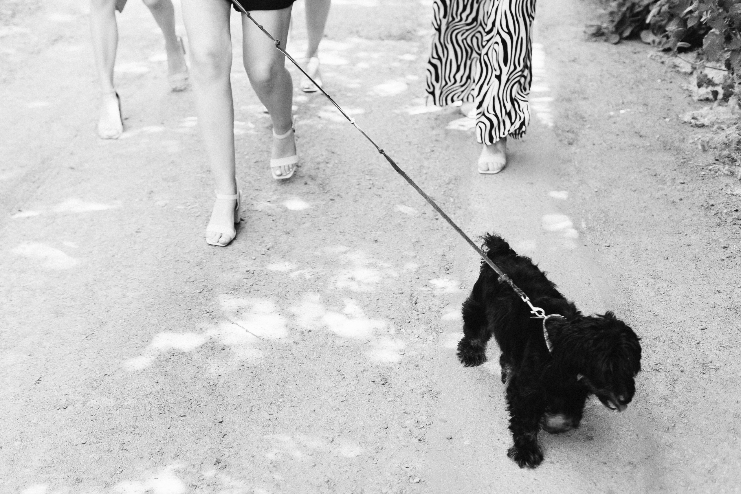 Свадебный анонс Ярика и Насти. Свадебный и семейный фотограф в Таганроге Бакарюк Антон