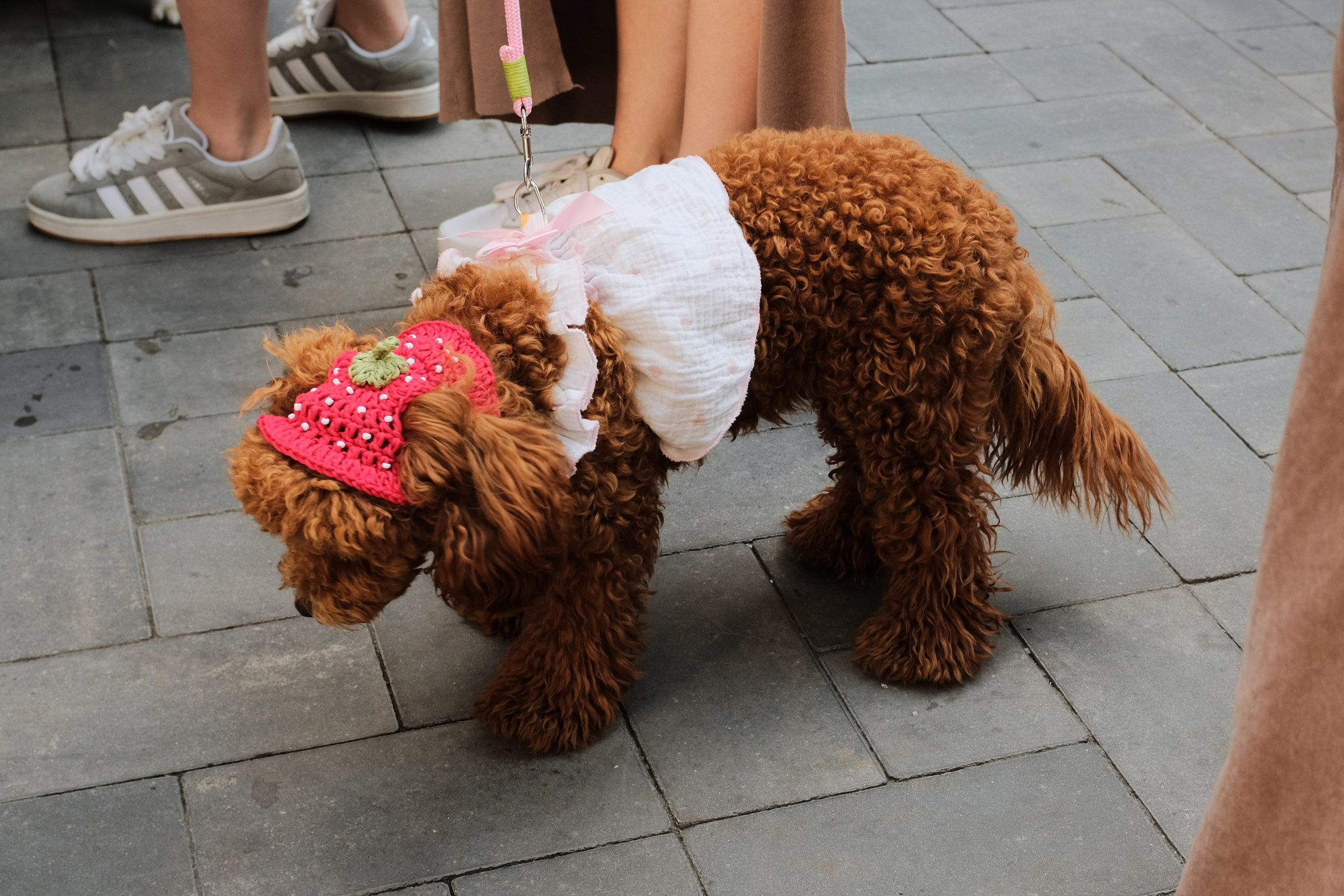 Rostov-on-Don. Creative travel photographer — Berg Daria