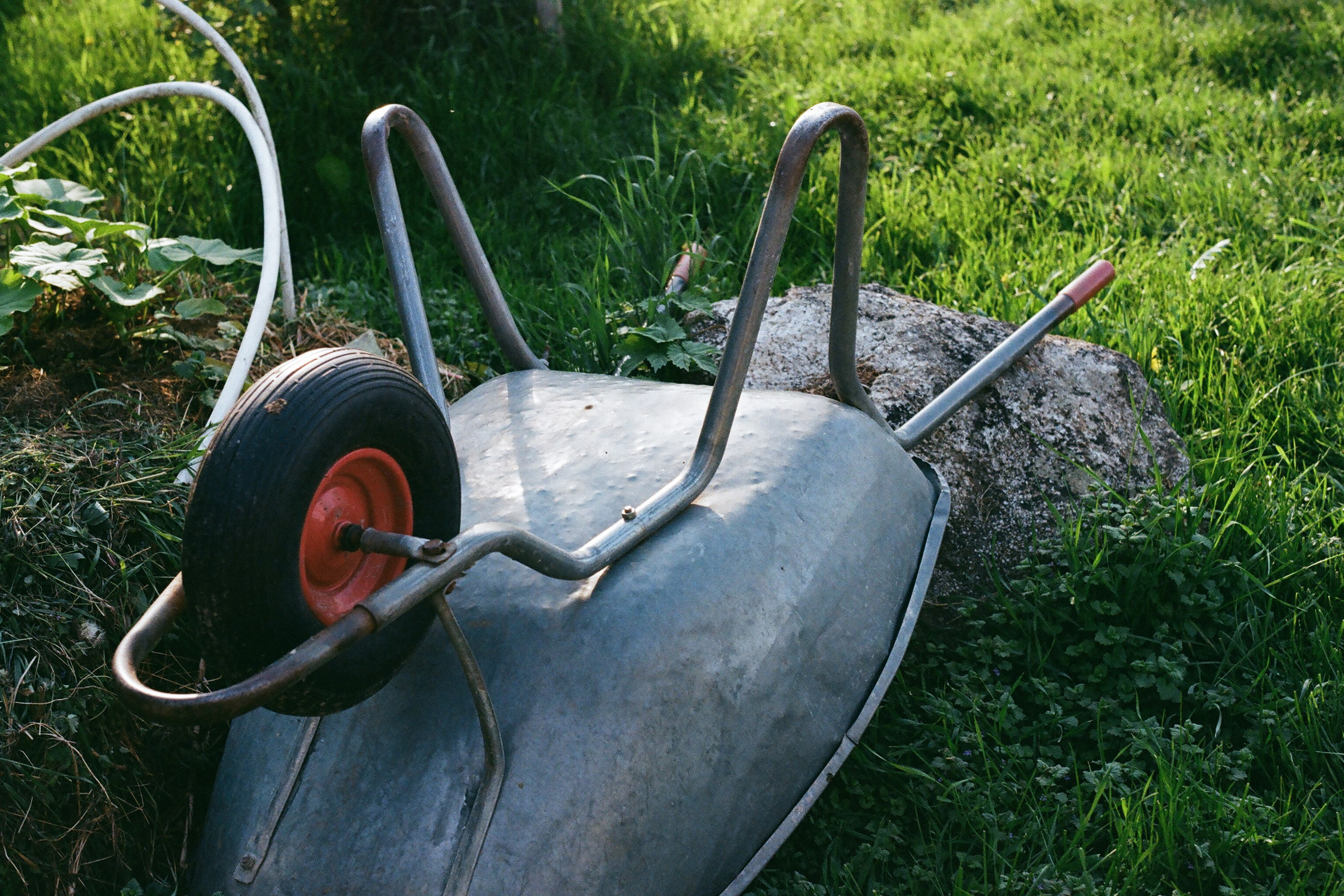 Film photos. Creative travel photographer — Berg Daria