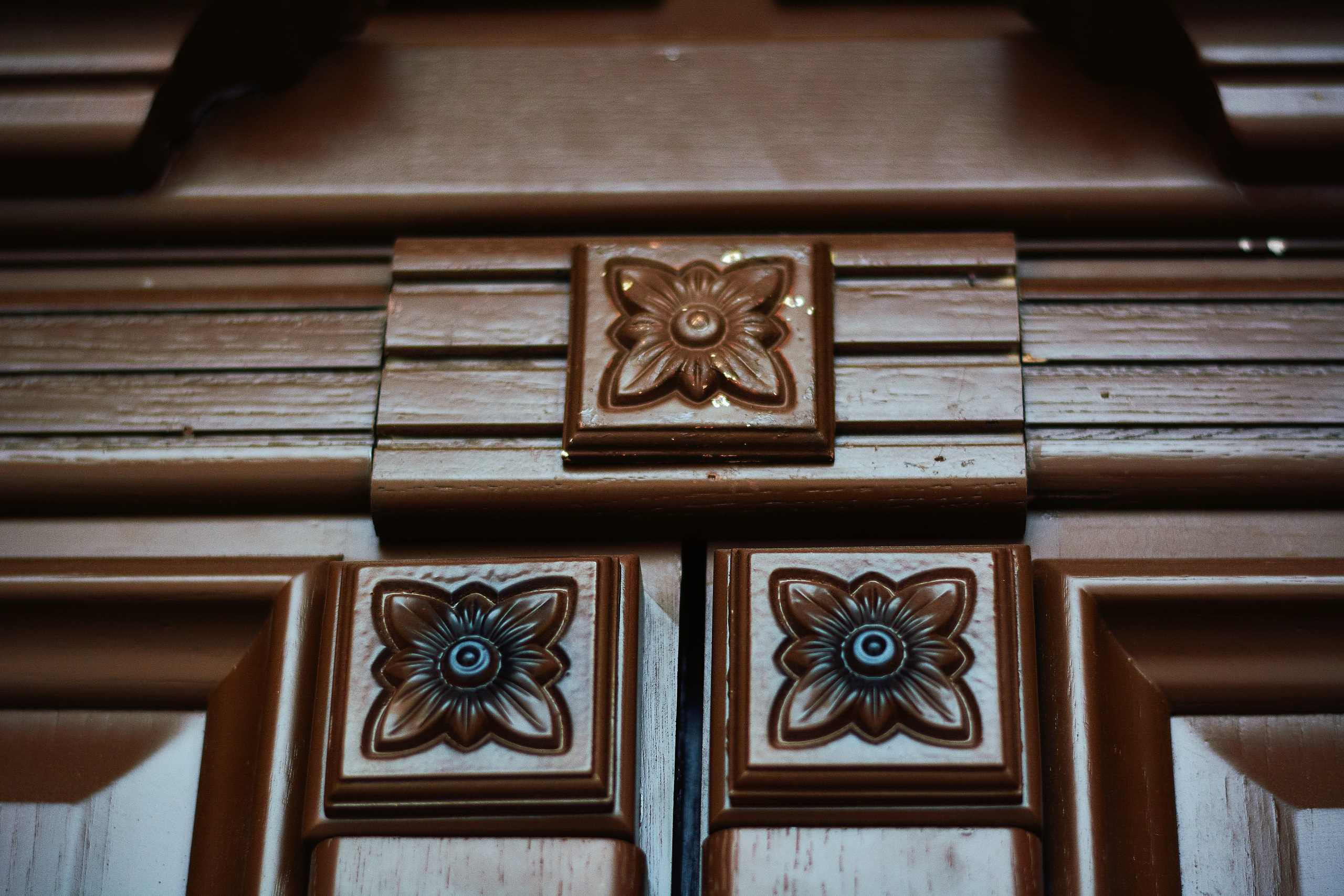 Интерьерная съемка Визит-центр Национальный парк «Кисловодский». Константин Кордонский | Интерьерный и food-фотограф в Кисловодске и КМВ