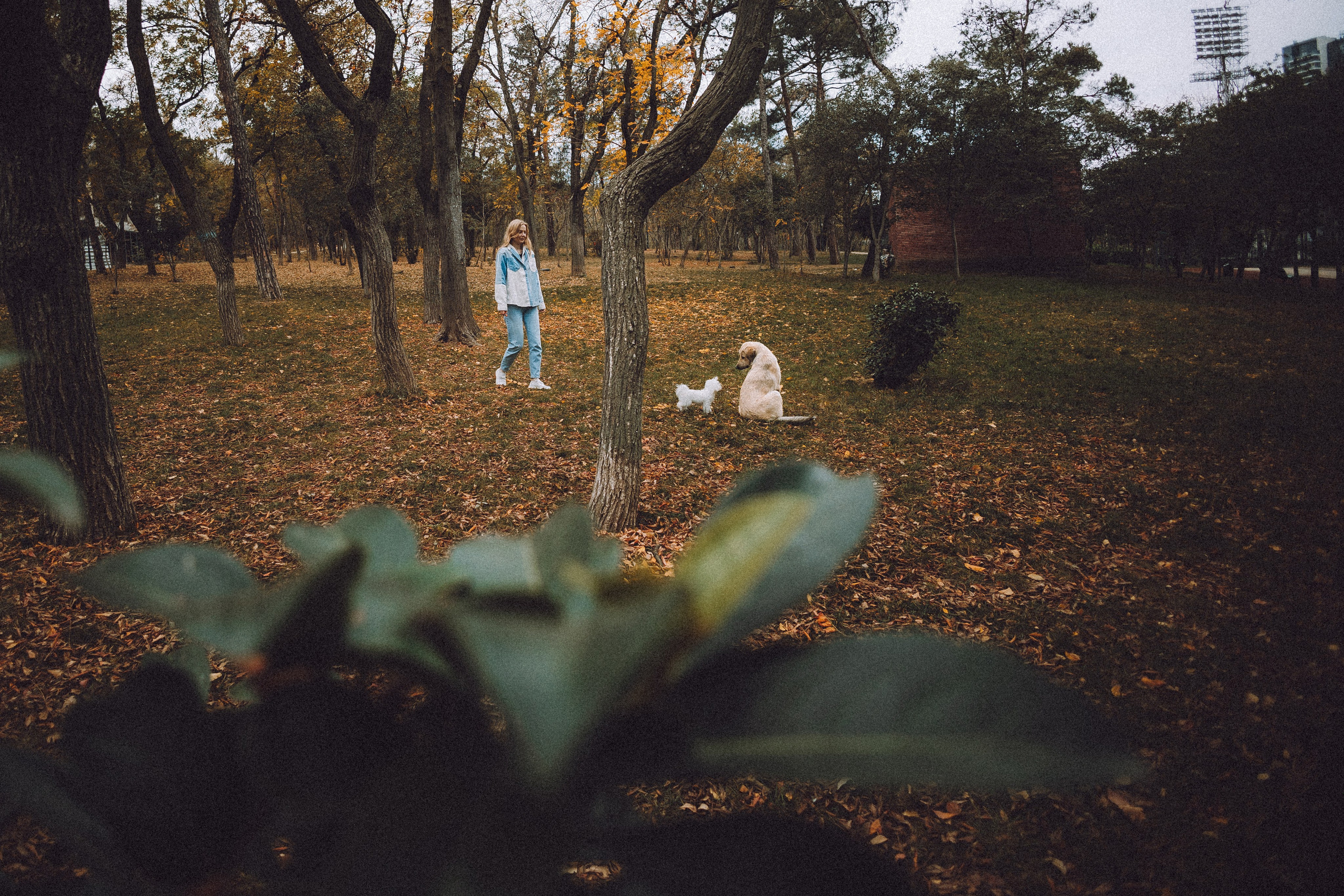 Настя и Гоша