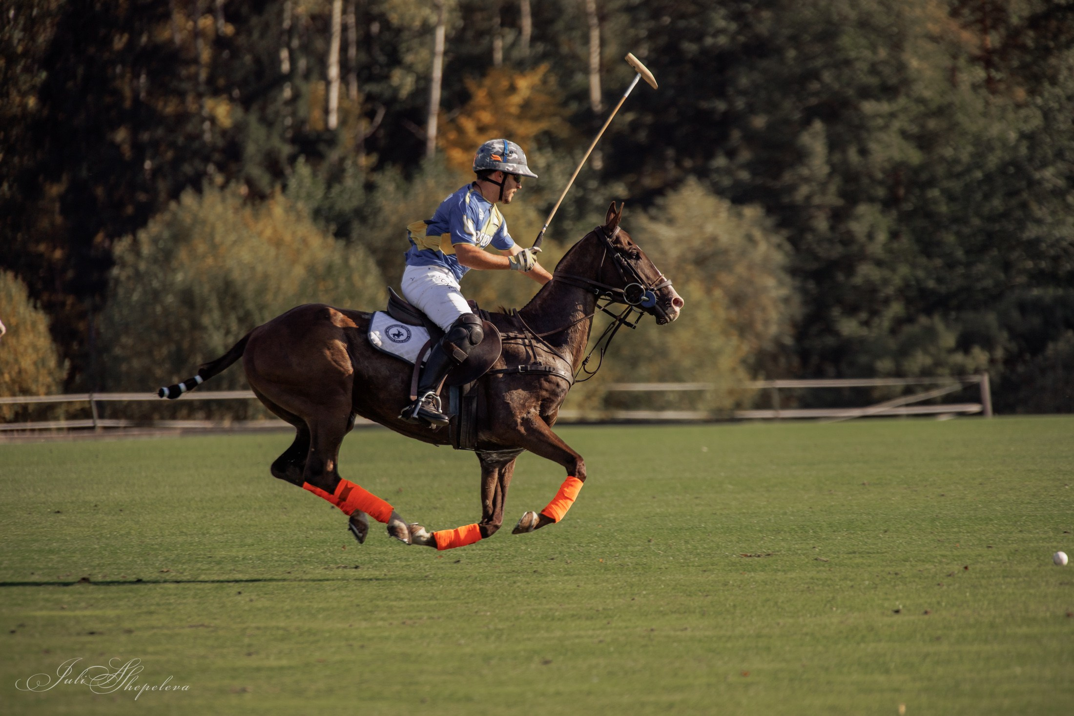 Осенний кубок по конному поло. Детская Конная фотография в Москве Юлия Шепелева