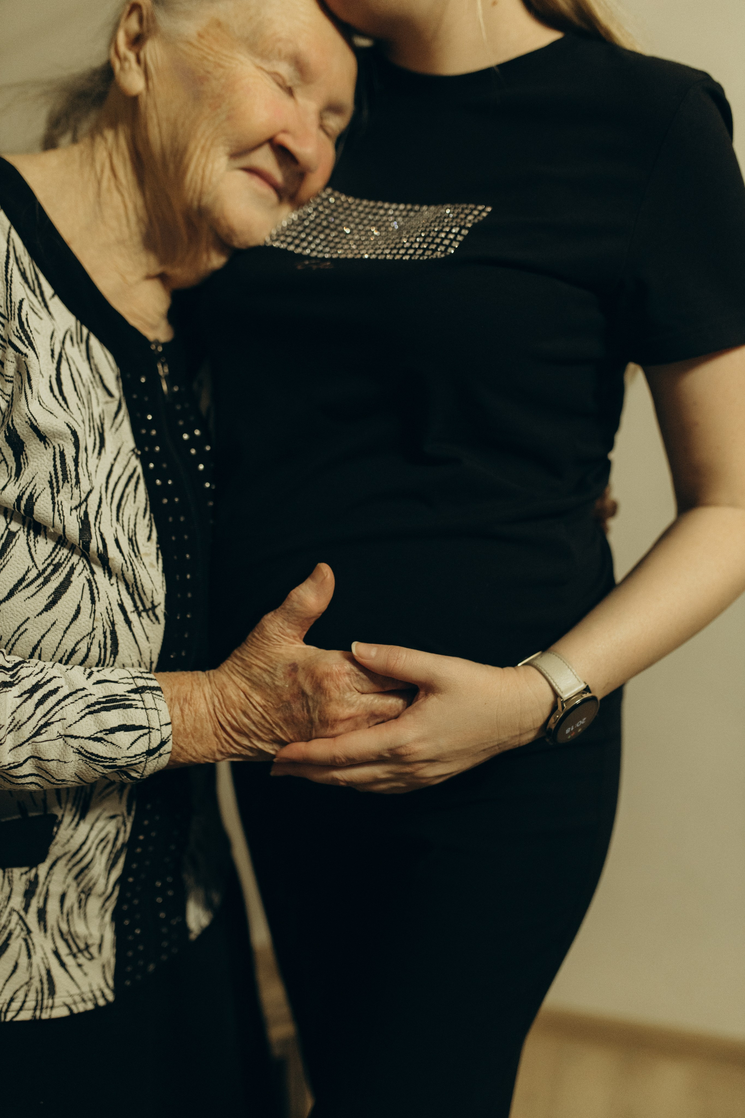 Домашняя история. Meryfotoidea