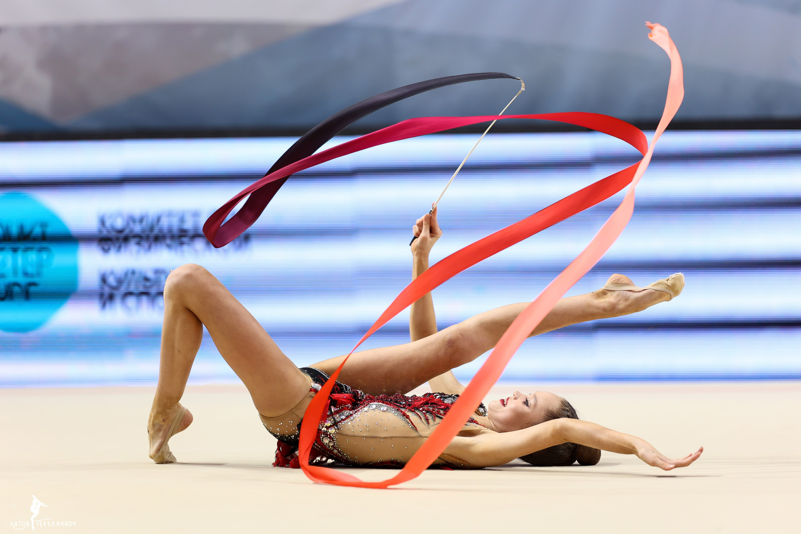 Кубок Санкт-Петербурга 23–25 ноября 2023. Спортивный и репортажный фотограф Антон Тереханов