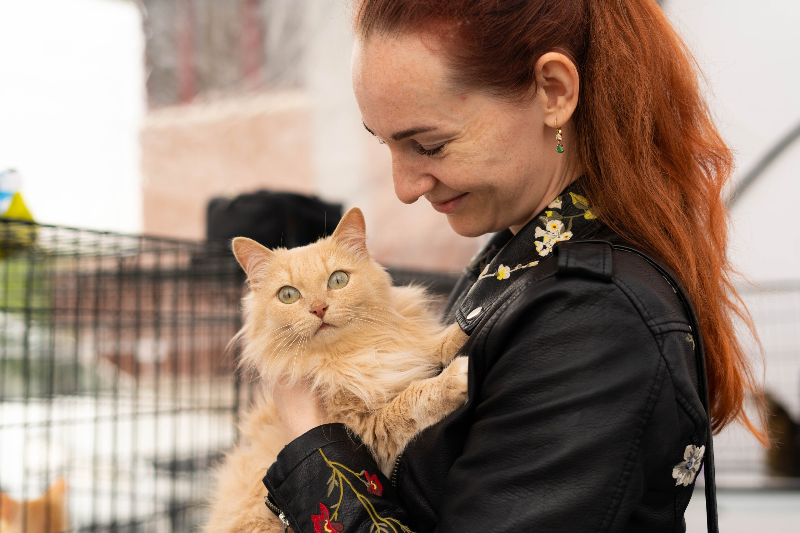 Проект «Бери домой». Фотограф Екатерина Зорина