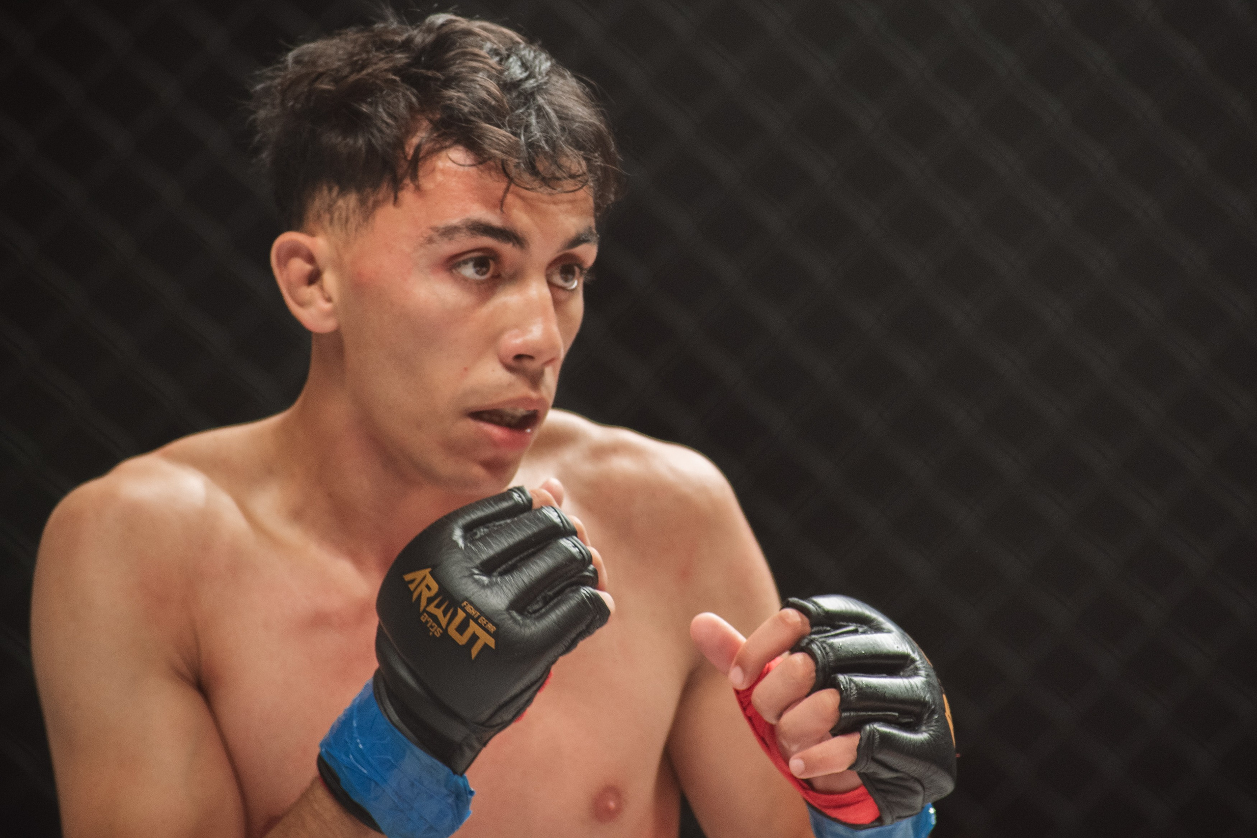 Miroslava Fight