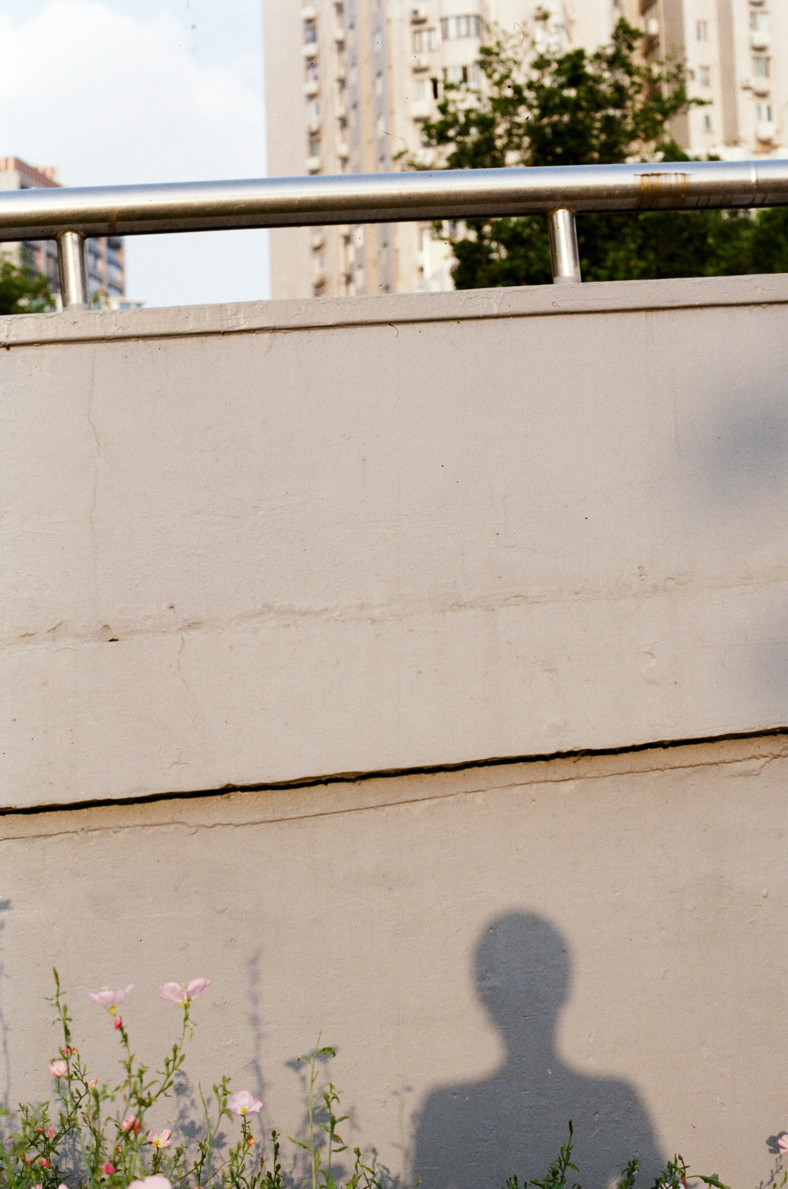 VISION. Anastasia Sukhoparova artist photographer