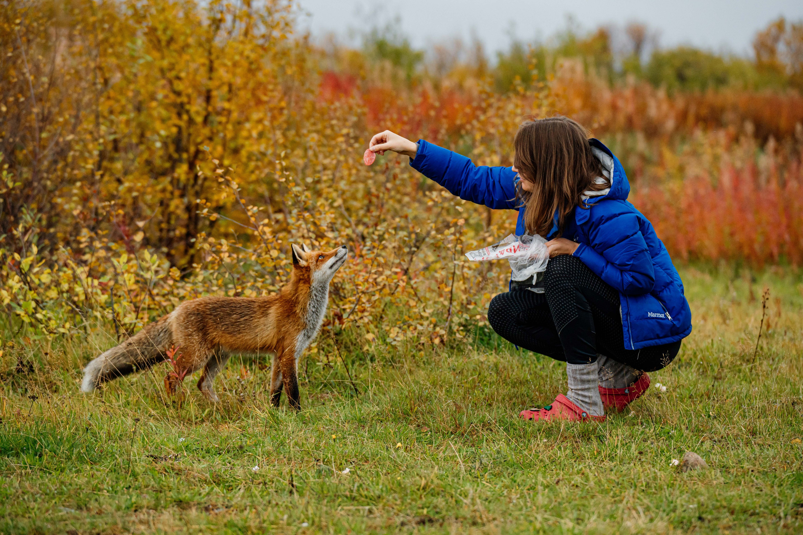 СЕВЕР. Event фотограф Степанова Александра