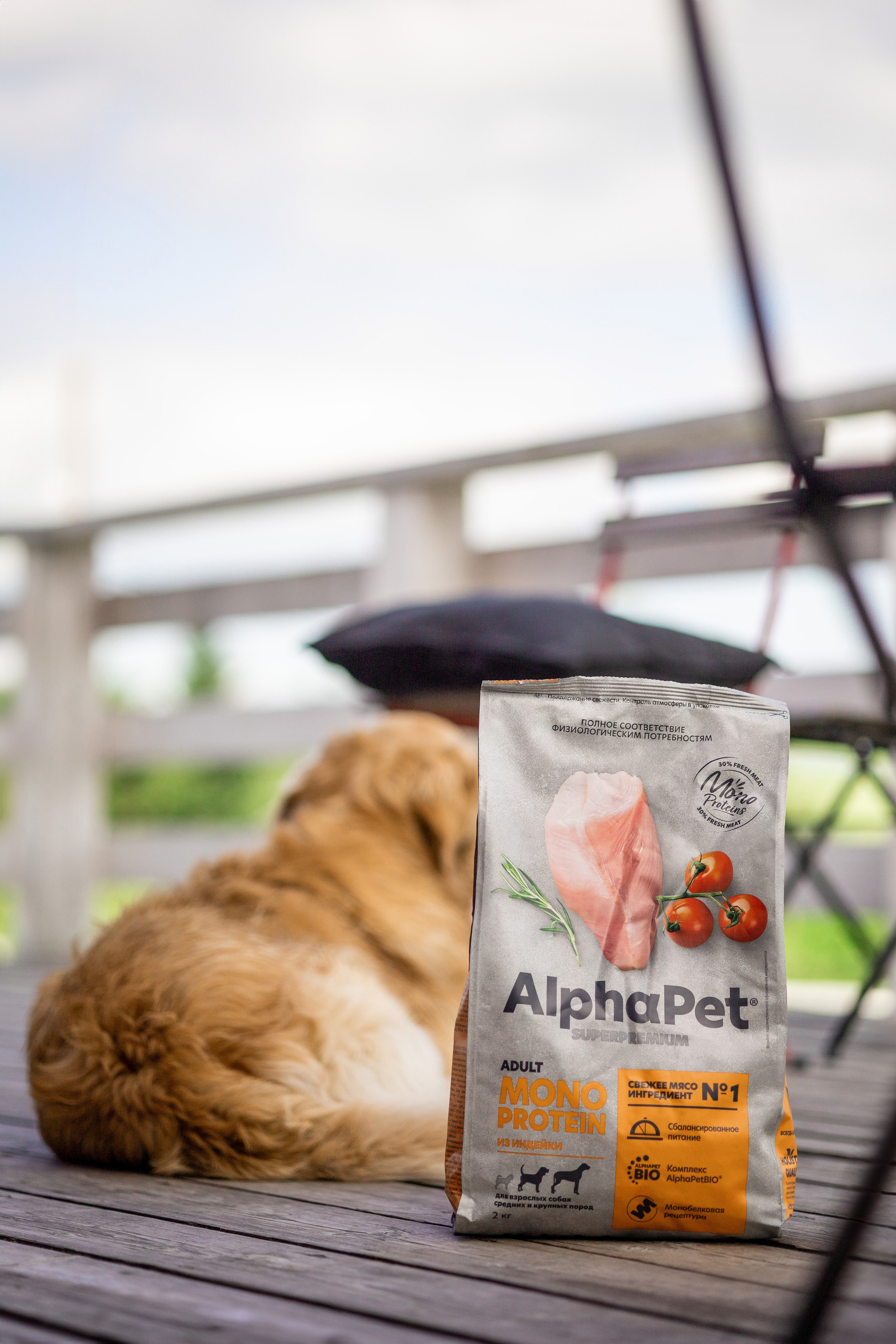 Корм AlphaPet. Анастасия Белаш