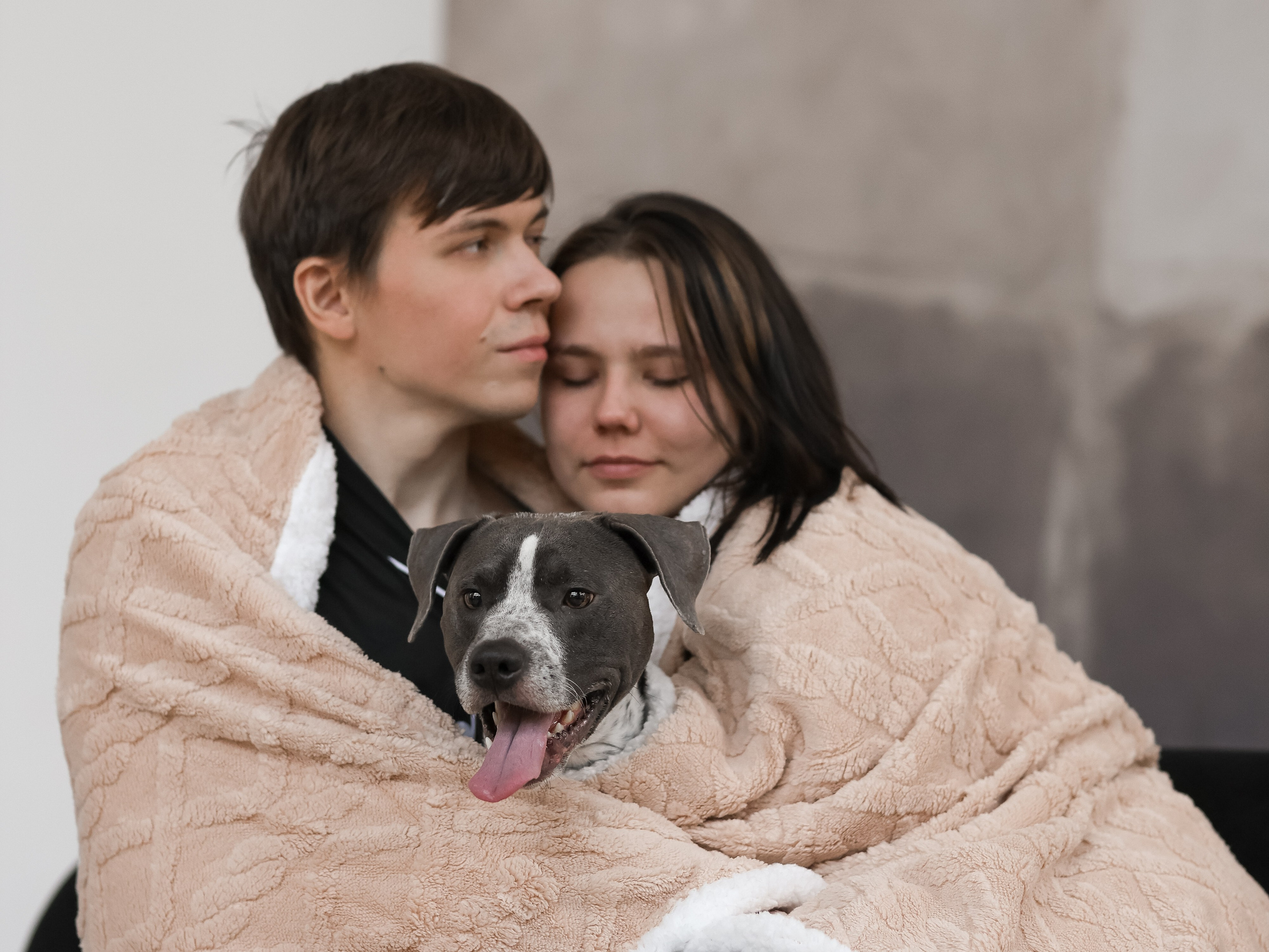 Тортик Даша и Никита. Фотограф-анималист в Москве Кириллова Татьяна