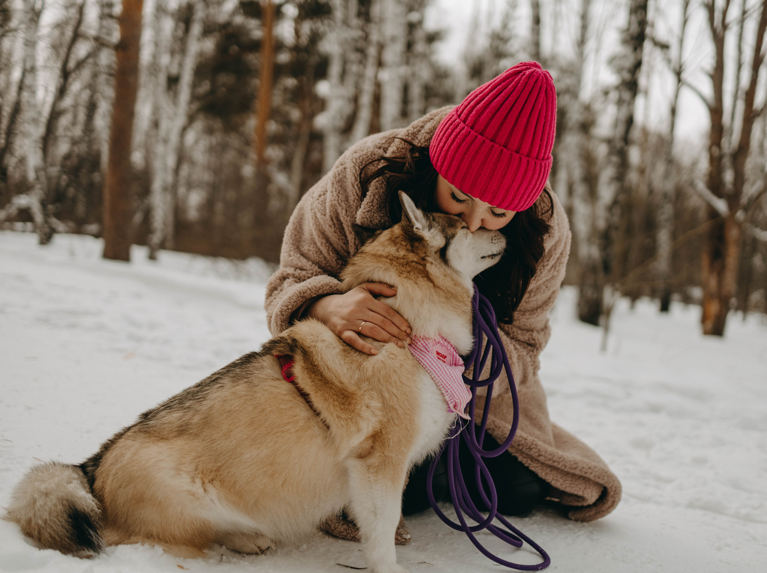 Варвара и Шелби. Фотограф-анималист в Екатеринбурге | Кристина