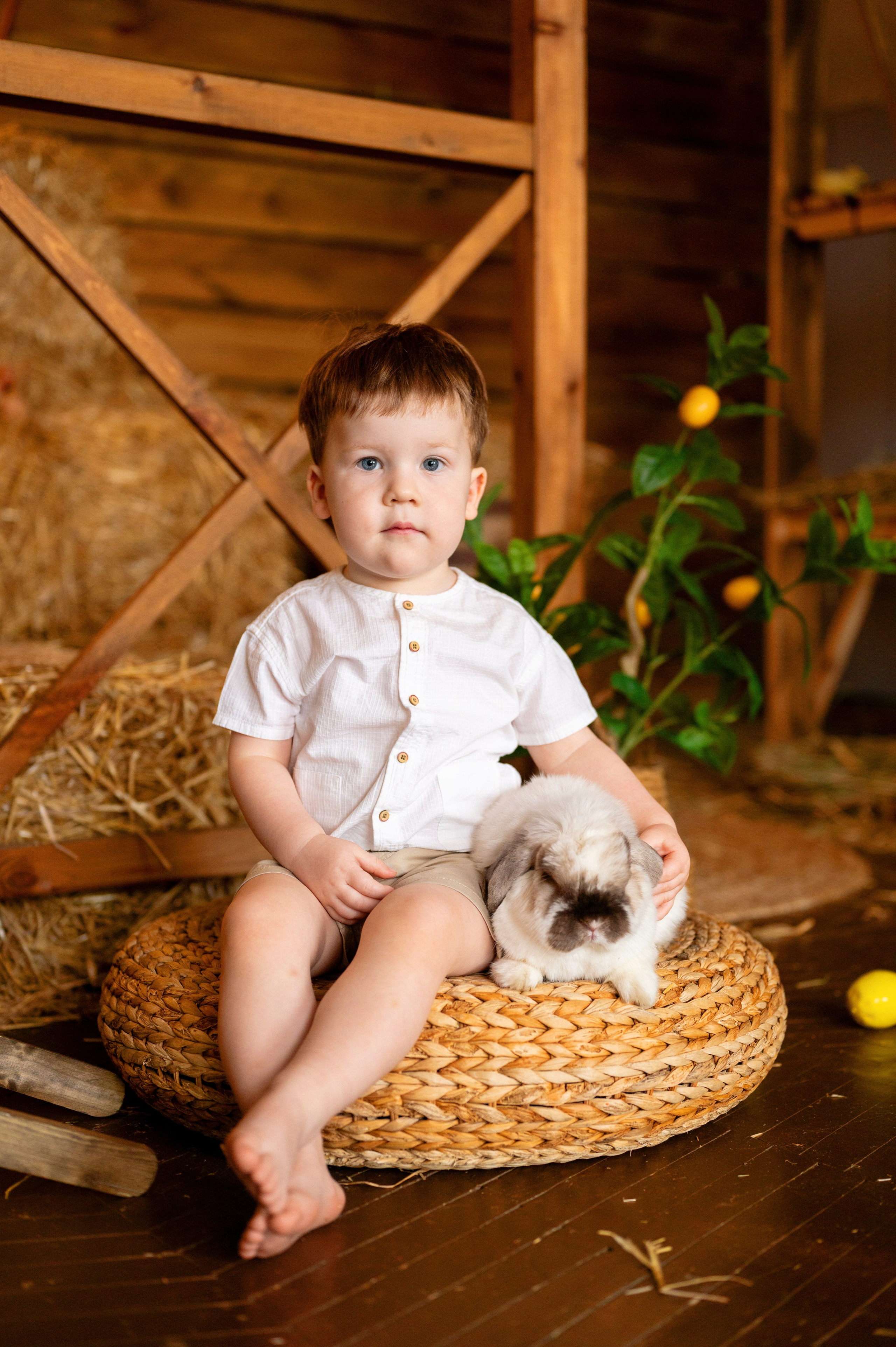 Нарния. Фотограф новорожденных, семейный детский в Тюмени Татьяна Морозова