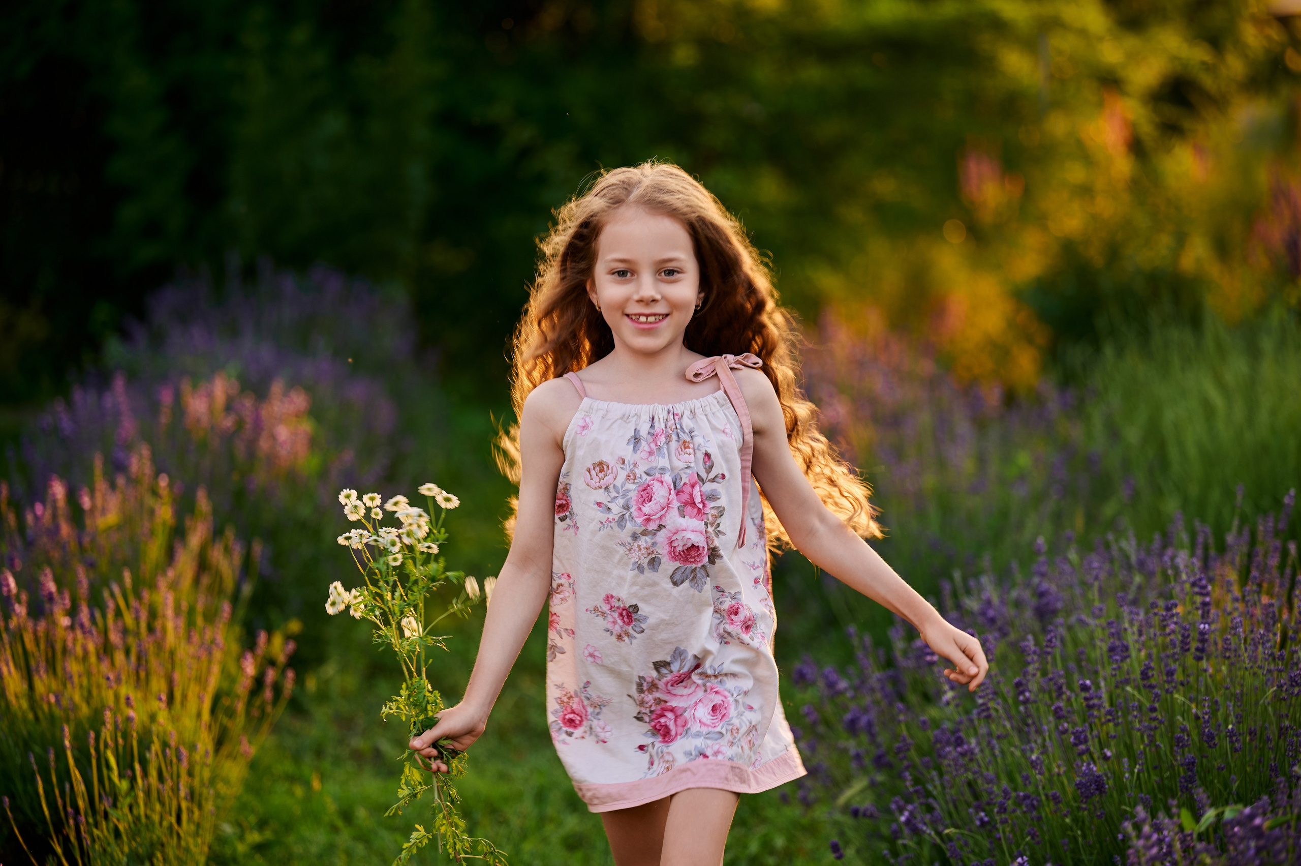 Лаванда на закате. Свадебный, семейный фотограф в Краснодаре