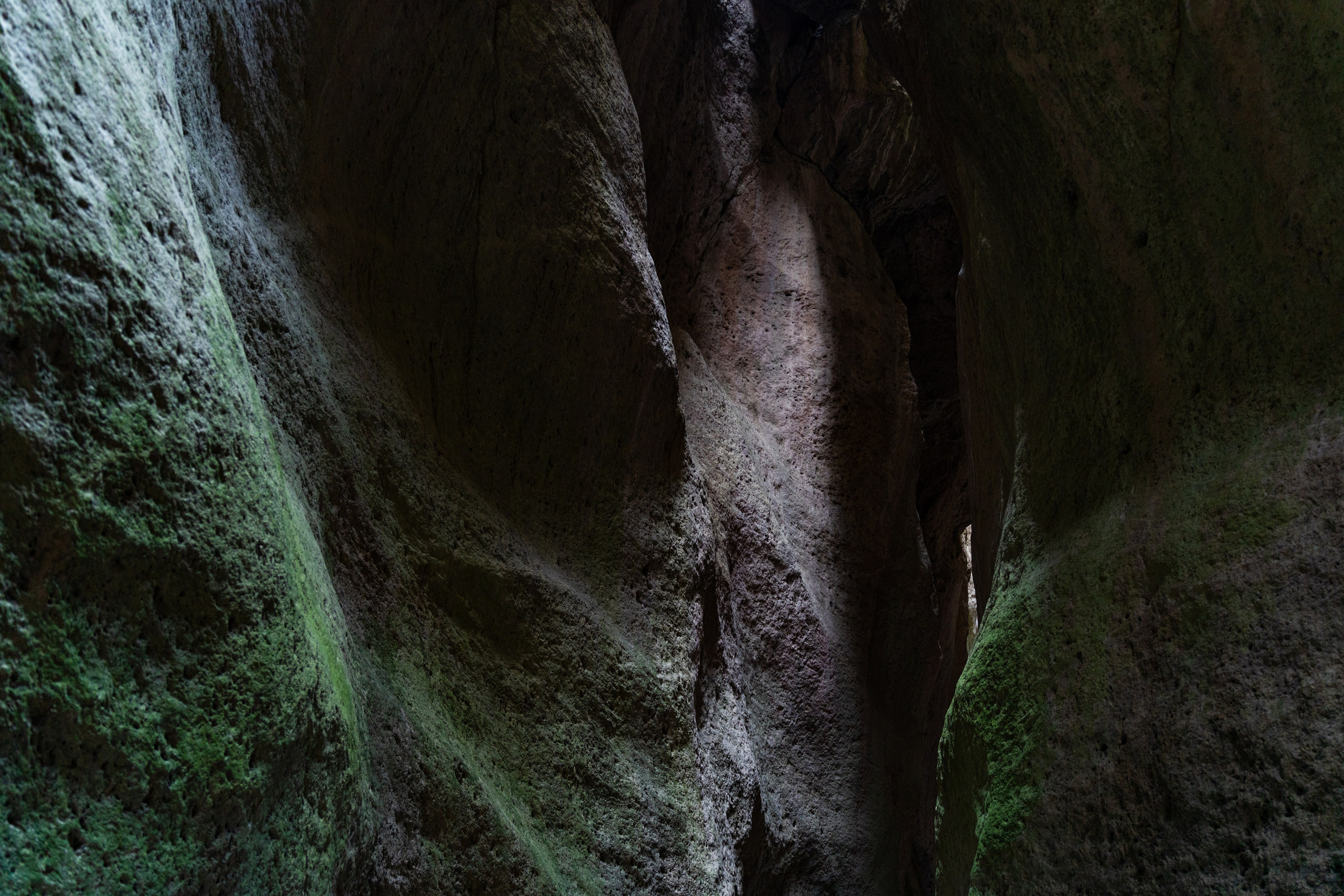 Дагестан. Фотограф в Москве. Шахабудин