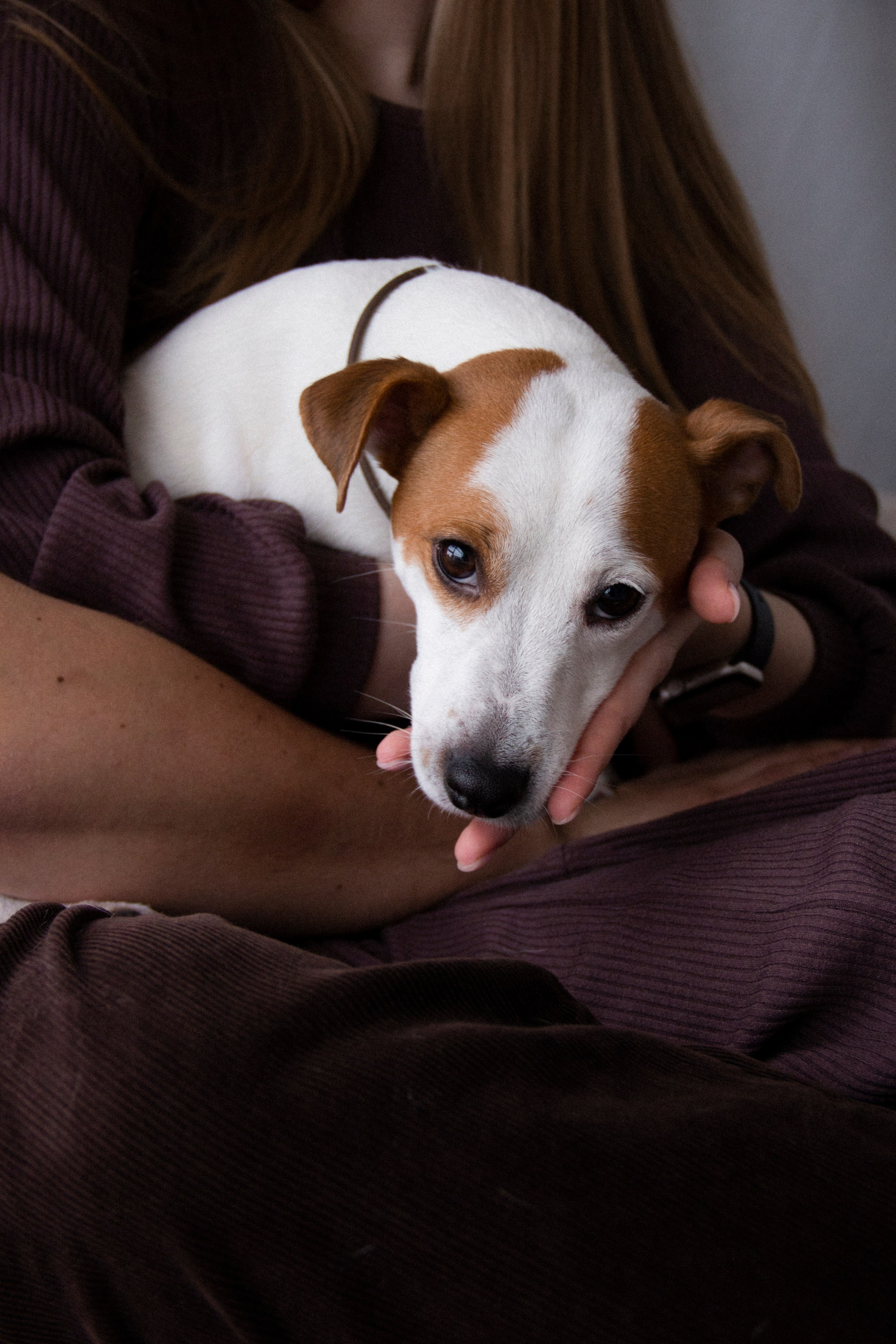 Валерия и Алексей. Фотограф в Санкт-Петербурге Смирнова Диана