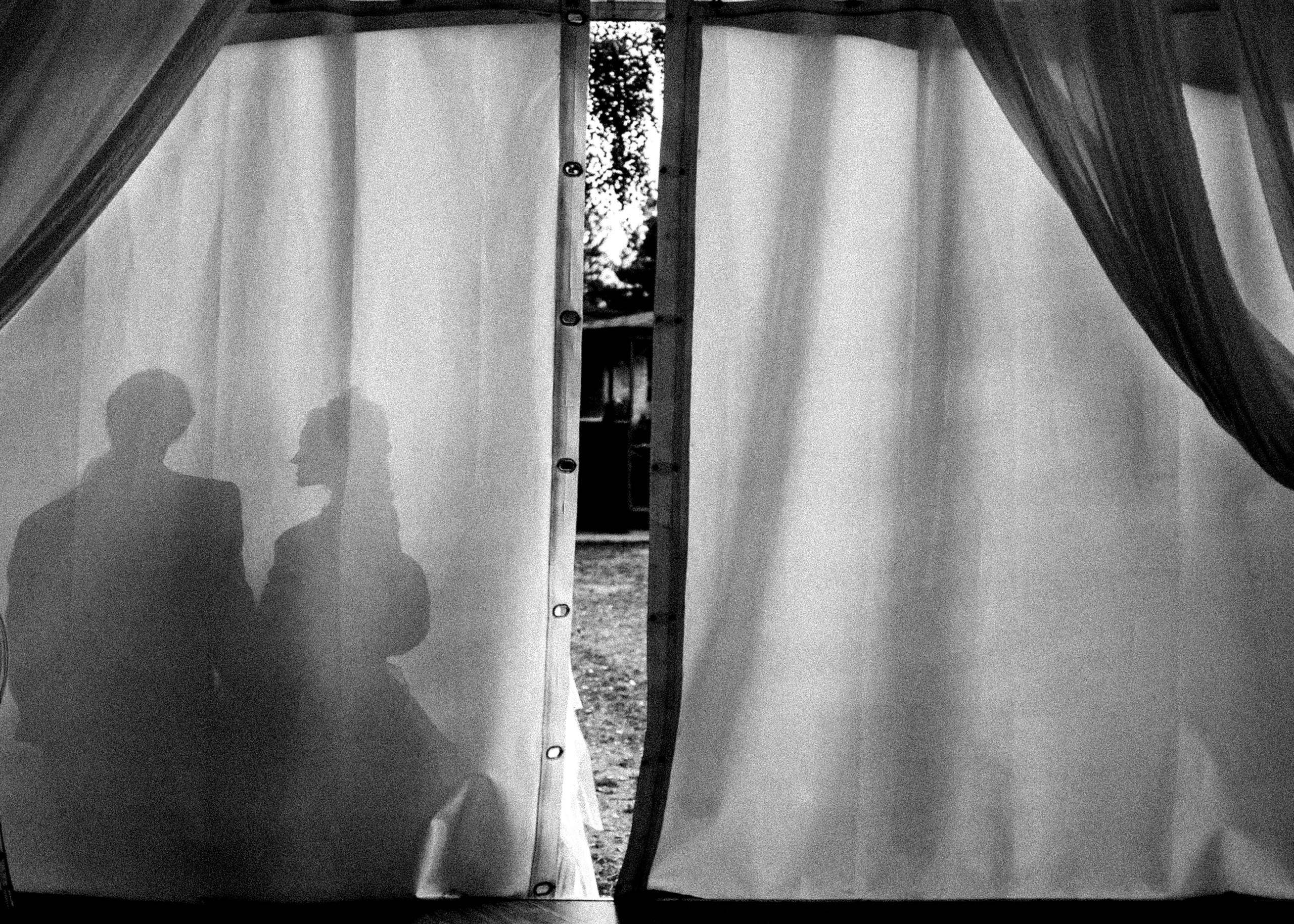 Жарптица. Константин Суриков свадебный фотограф Санкт-Петербург