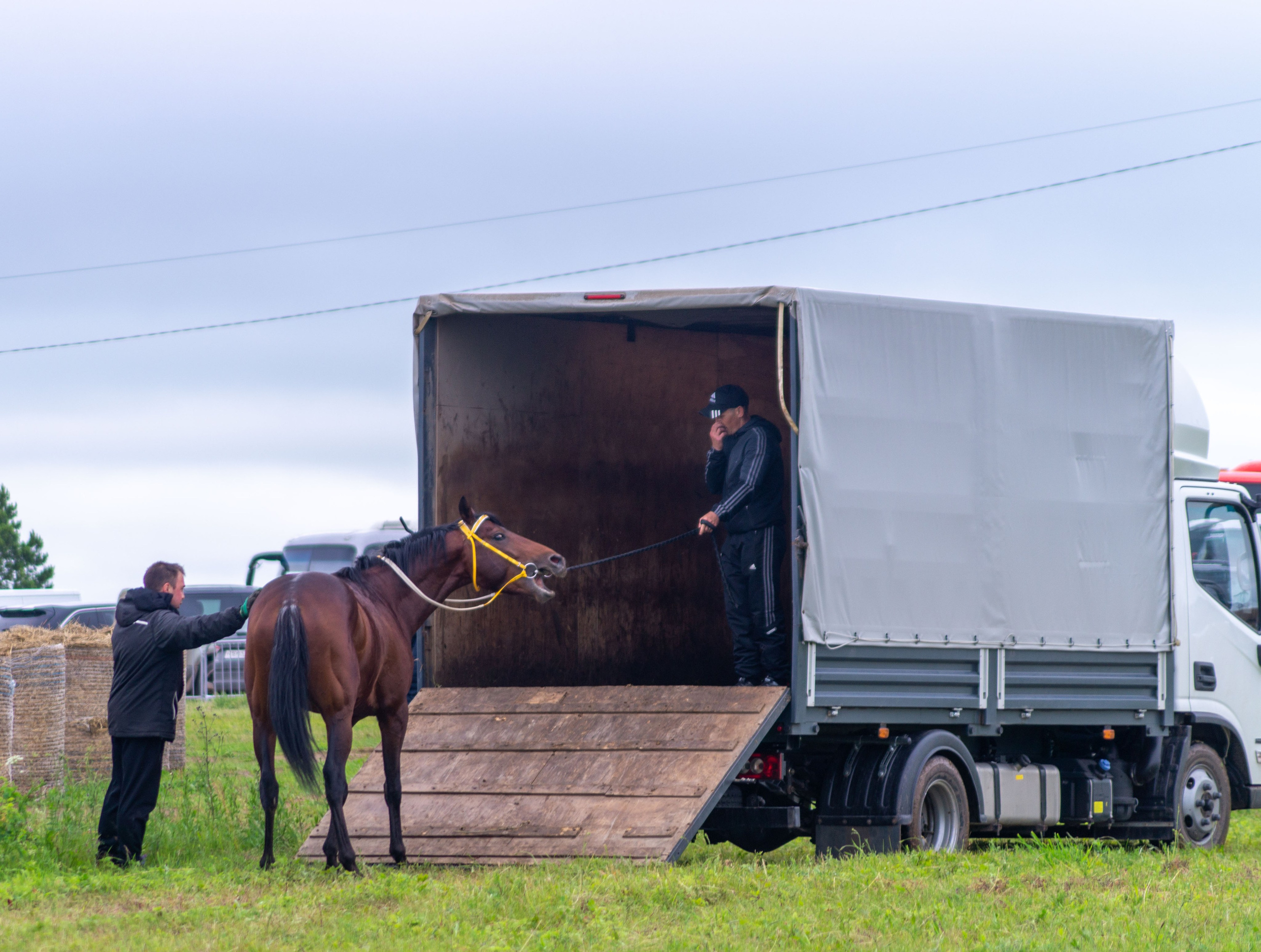 Всероссийский собантуй 2025. Портретный и семейный фотограф Санкт-Петербург