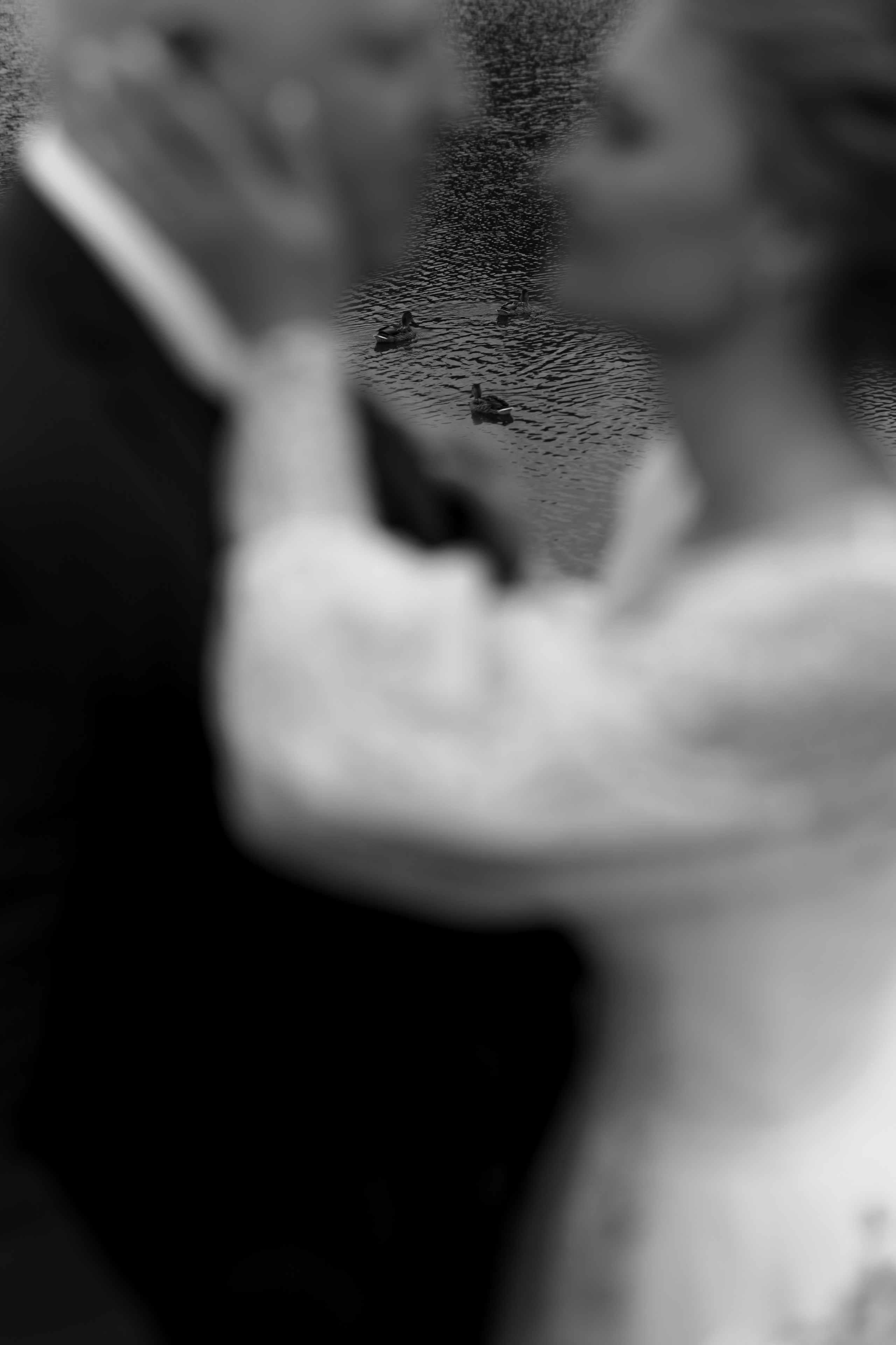 Свадьба Павла и Анастасии. Фотограф Кольчугино/Владимир/Москва Елизавета Иода