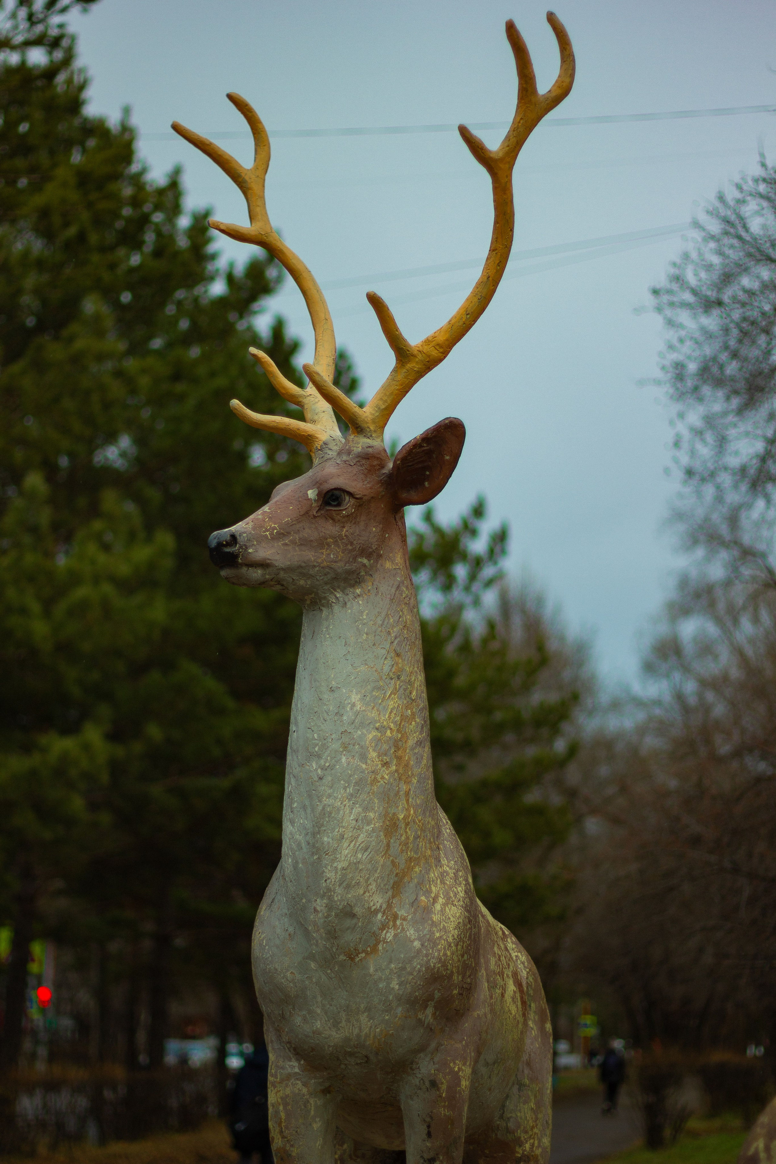 04.11.2024 | Сосновоборск. Kuznetsov | Фотограф в Красноярске