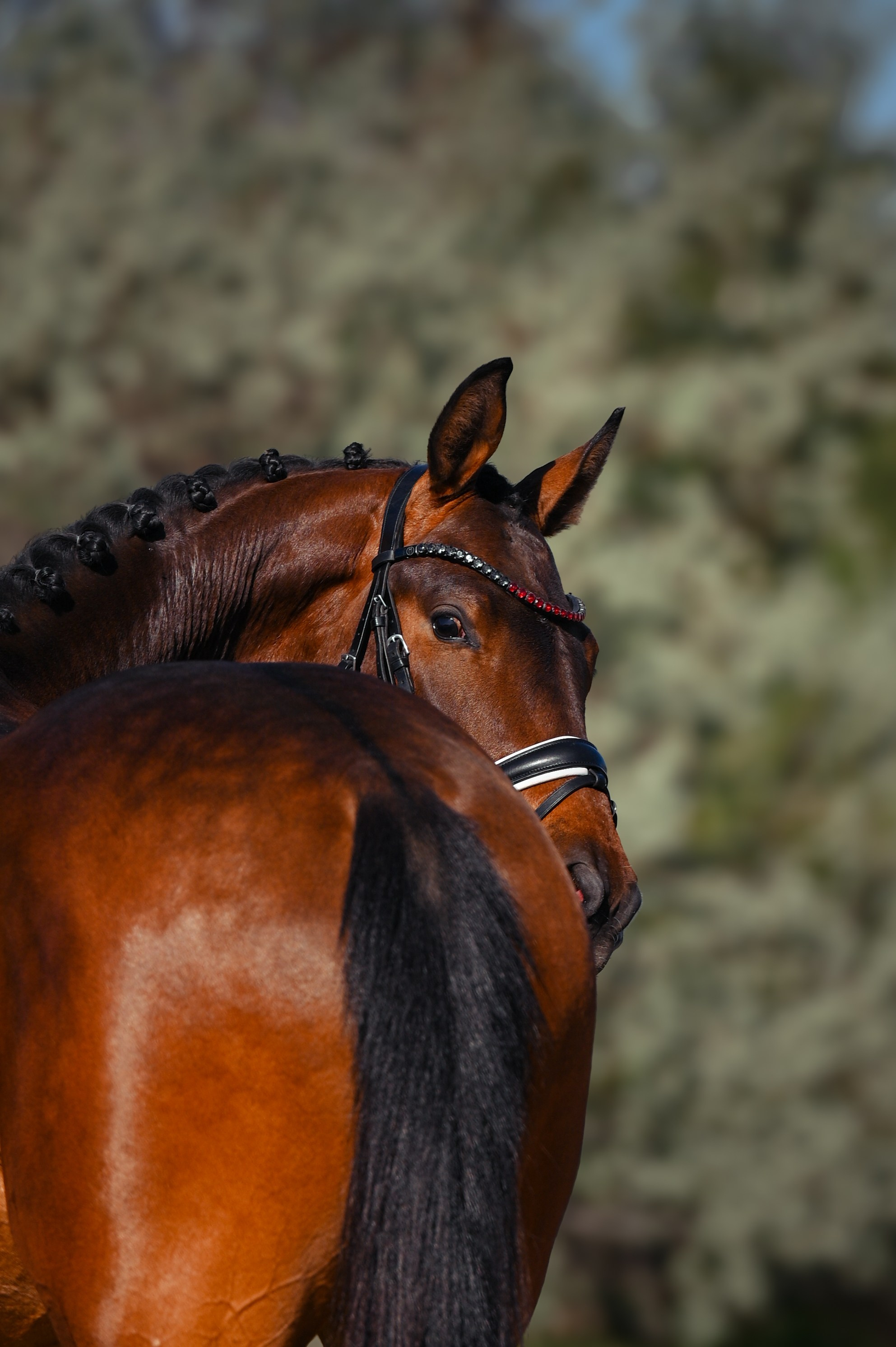 Фотограф в Ростове —на — Дону