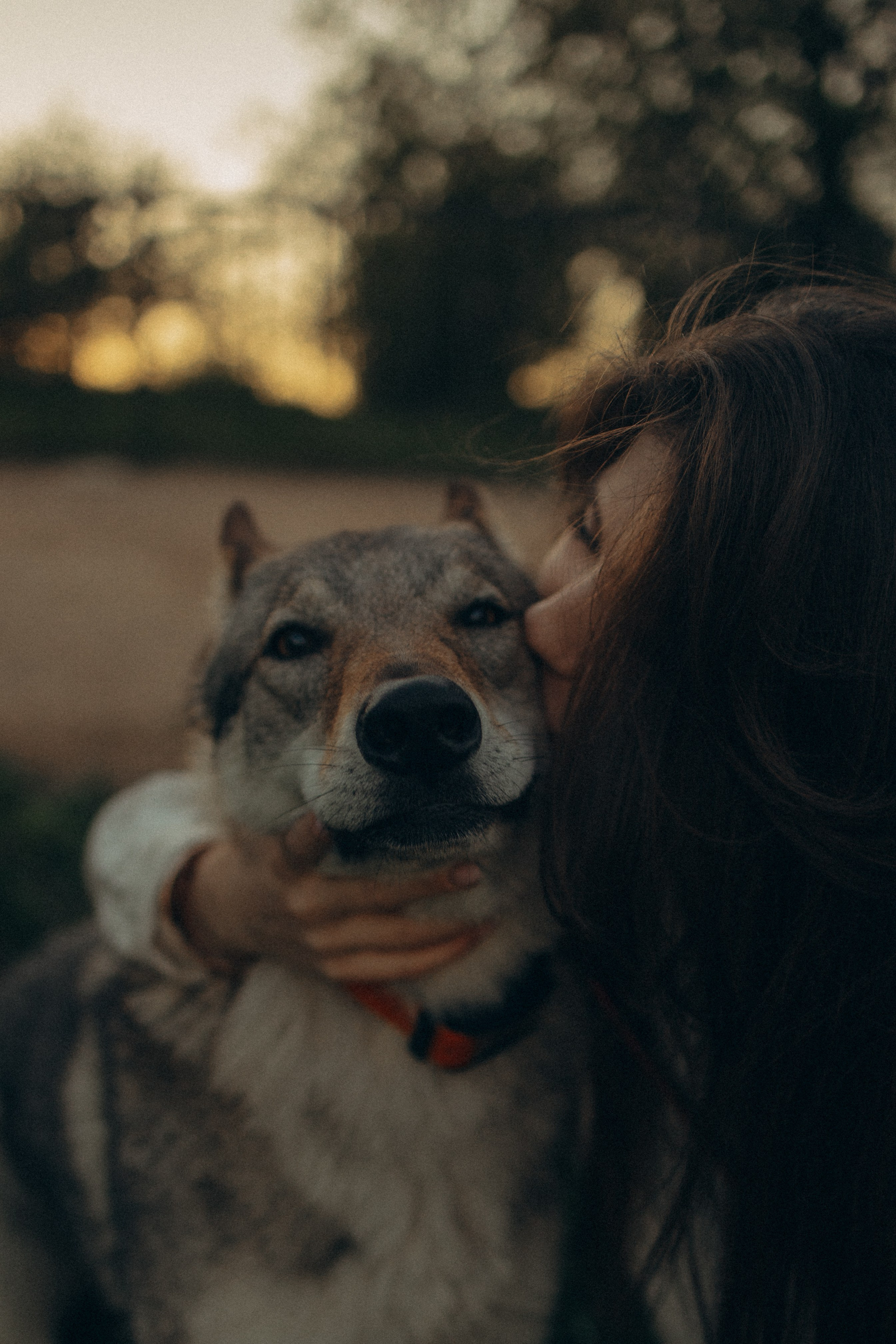 Аня и ее семья. Фотораф — анималист Мария Шистка
