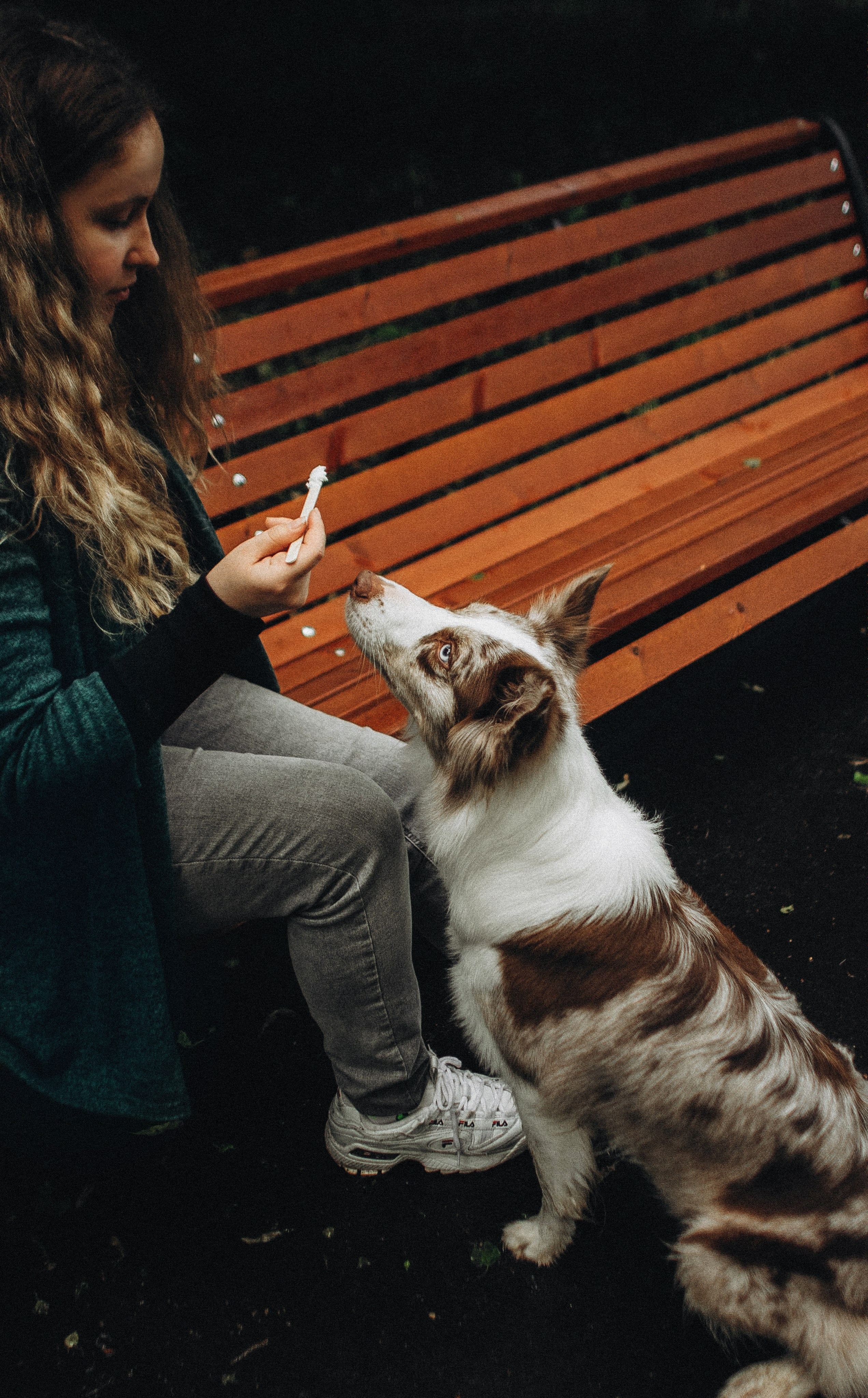 Алина и Бруна. Фотограф-анималист Богданова Полина