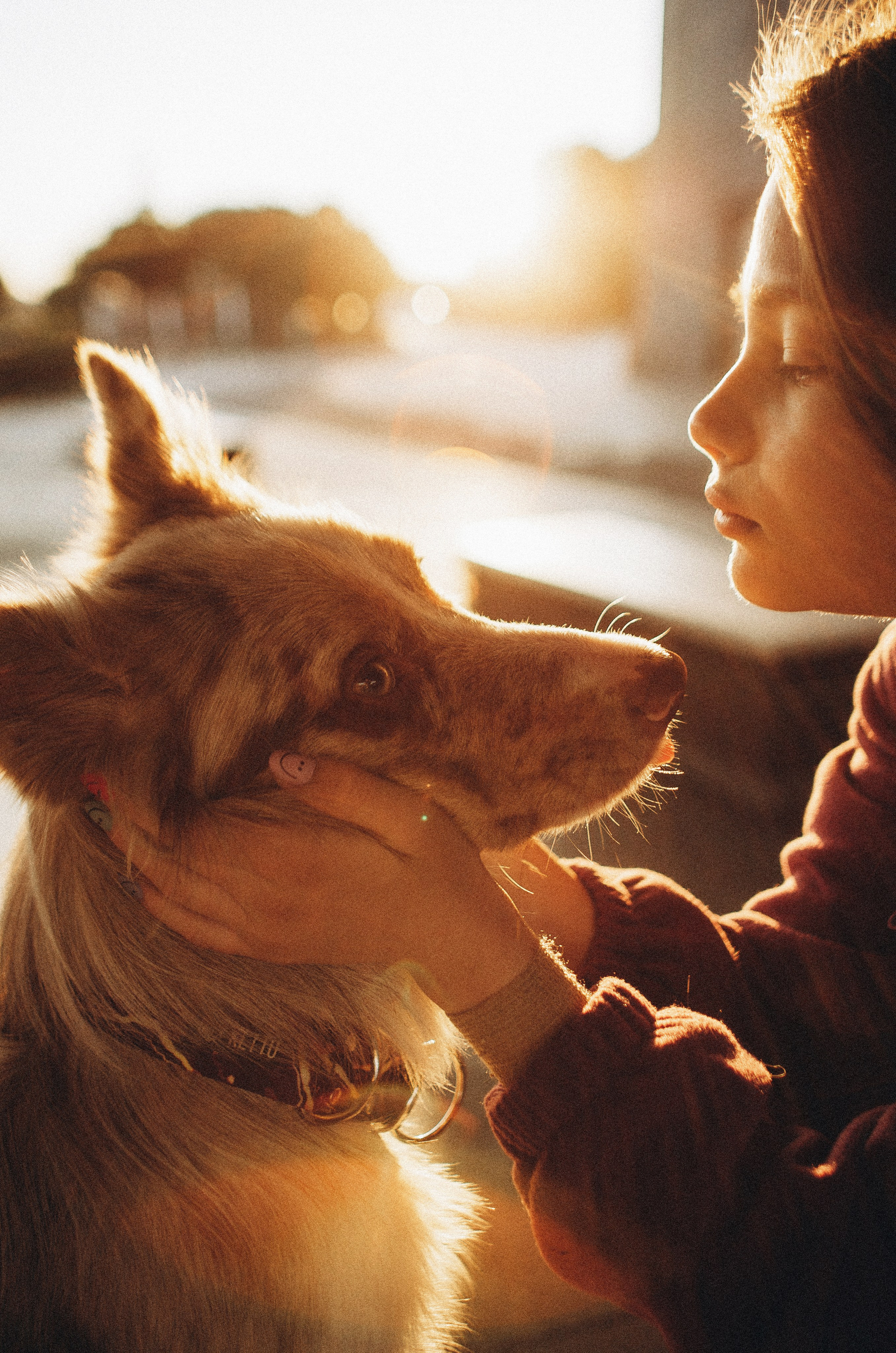 Аня и Дэймон. Фотограф-анималист Богданова Полина