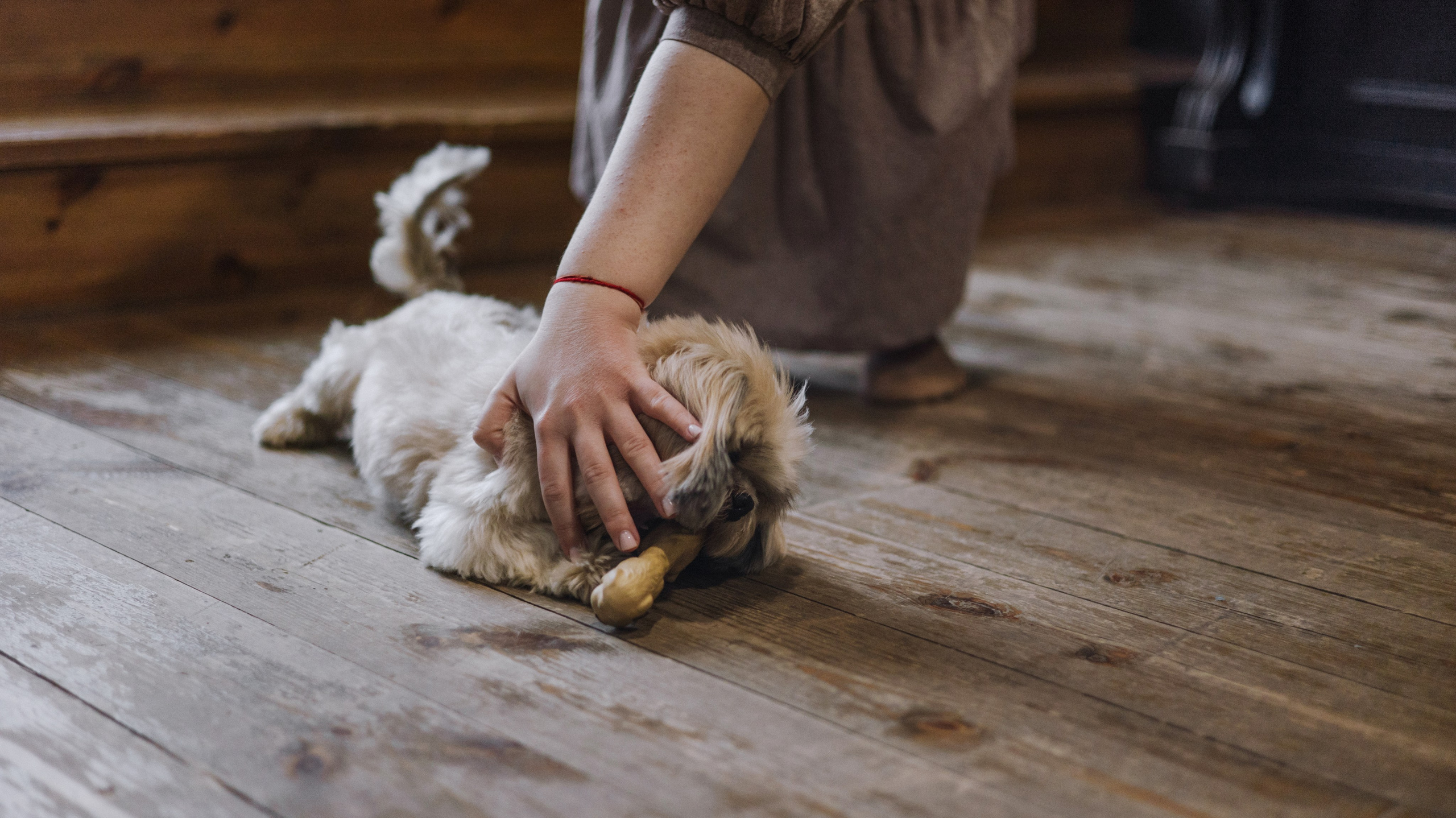 Ирина и Винни. Фотограф-анималист Богданова Полина