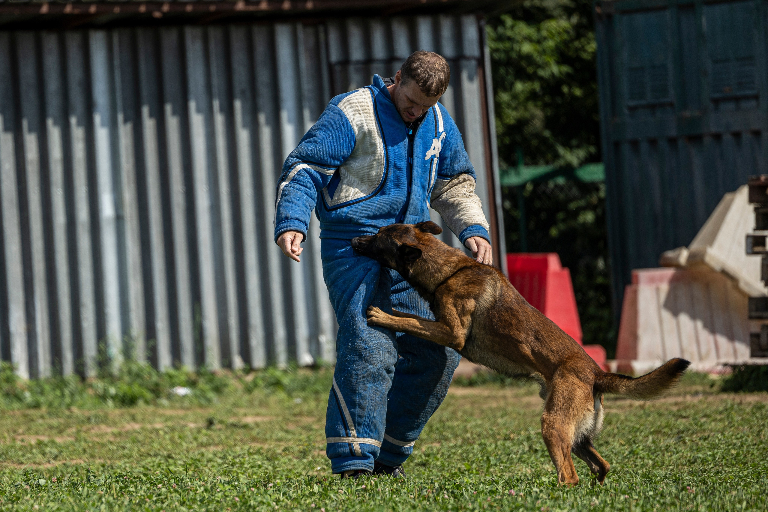 Соревнования по Мондьорингу г. Вологда 10-11.08.2024. Фотограф-анималист Анна Маринич