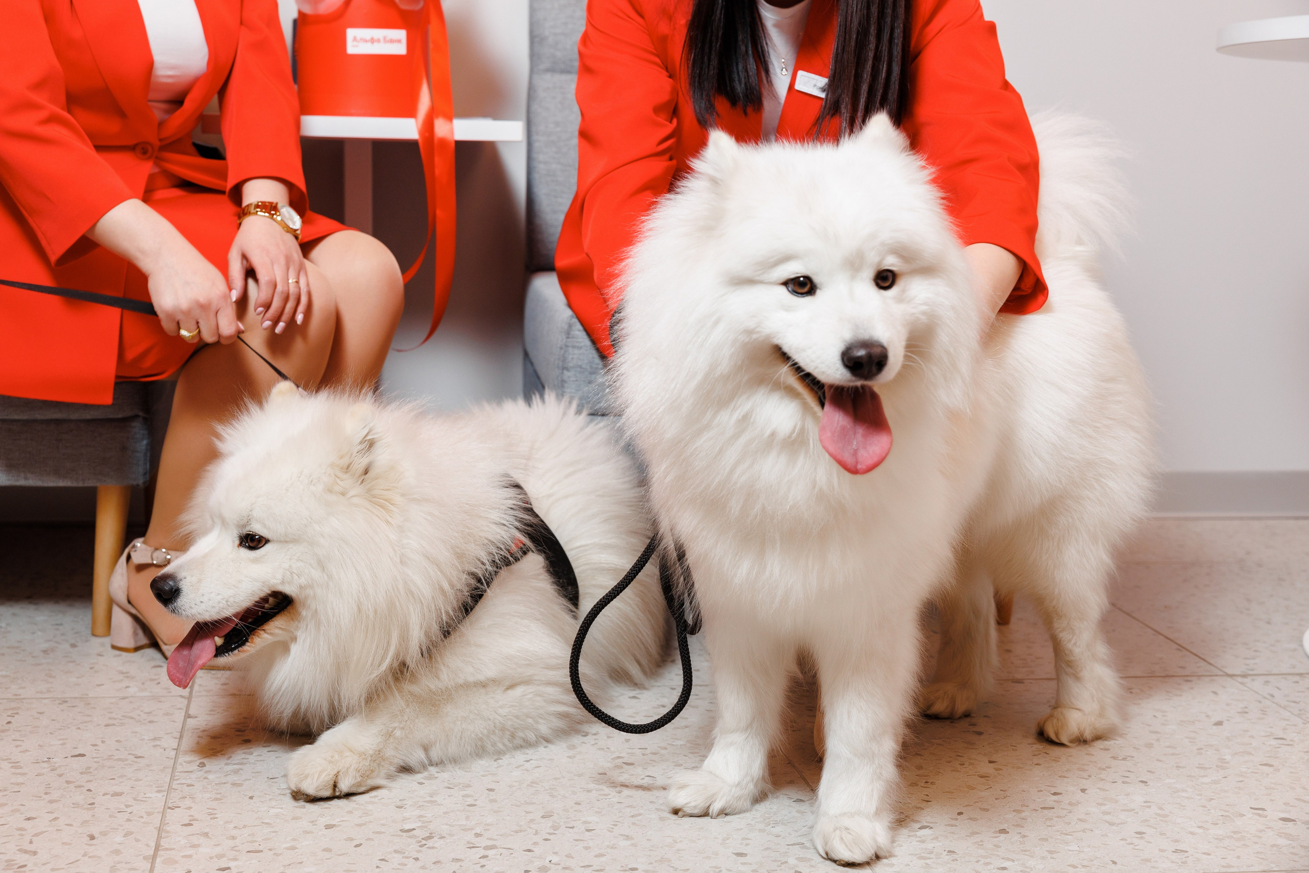 Альфа Банк Георгиевск. Фотограф Ставрополь Петр Голубенко