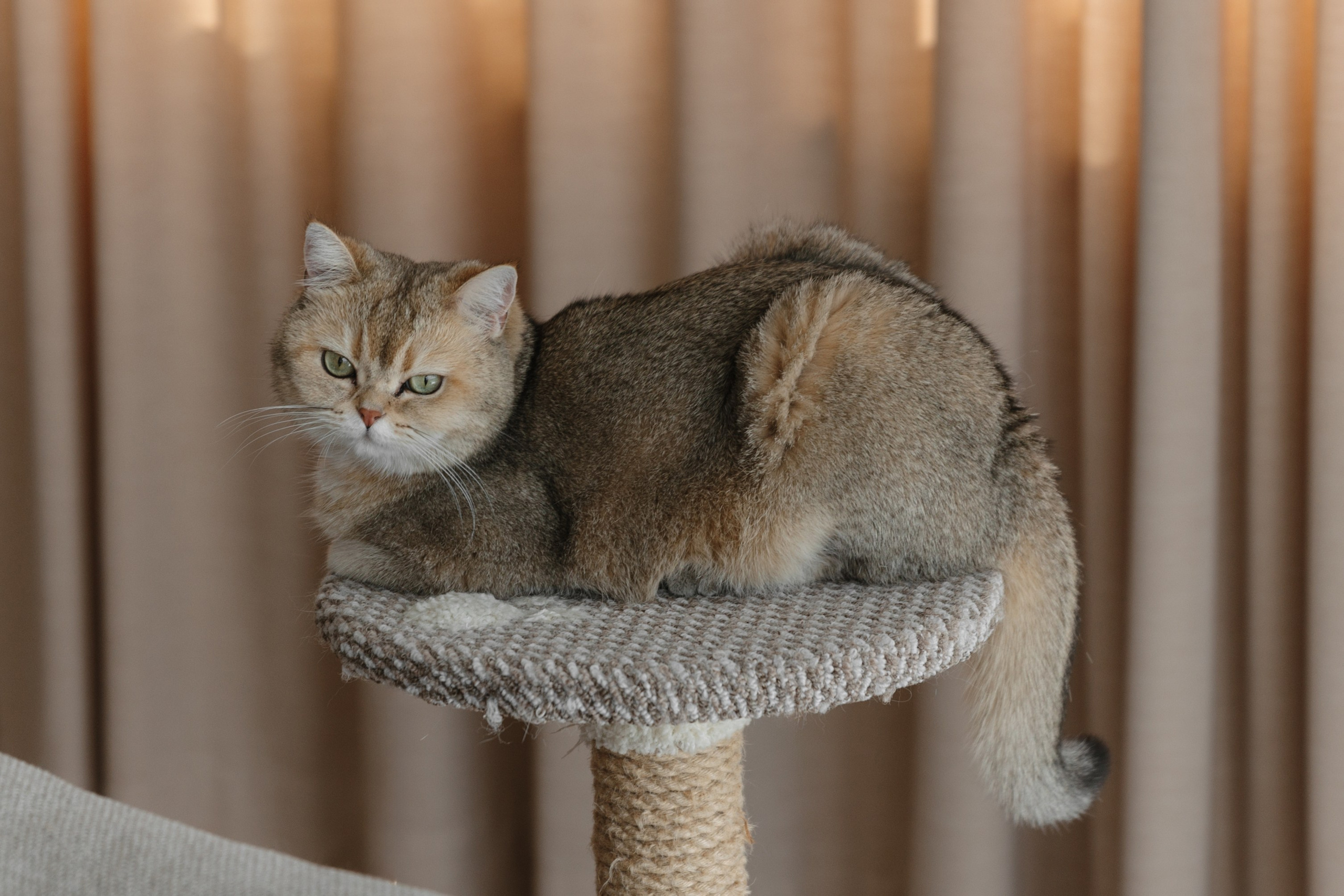 Иван и Кристина