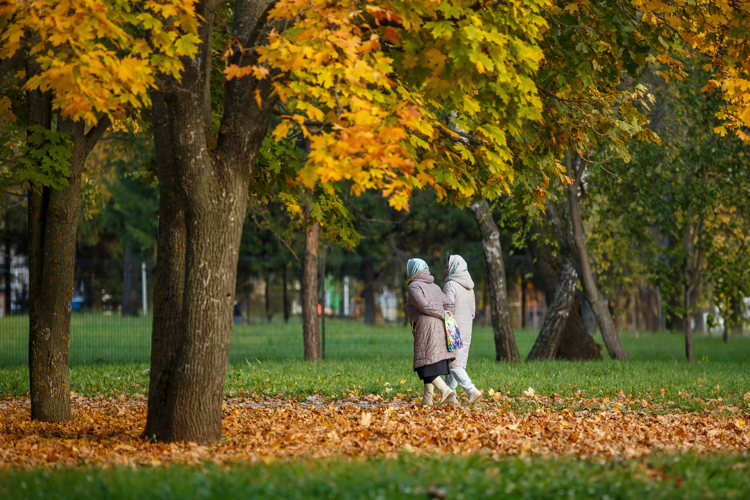 Фотограф в Нижнекамске