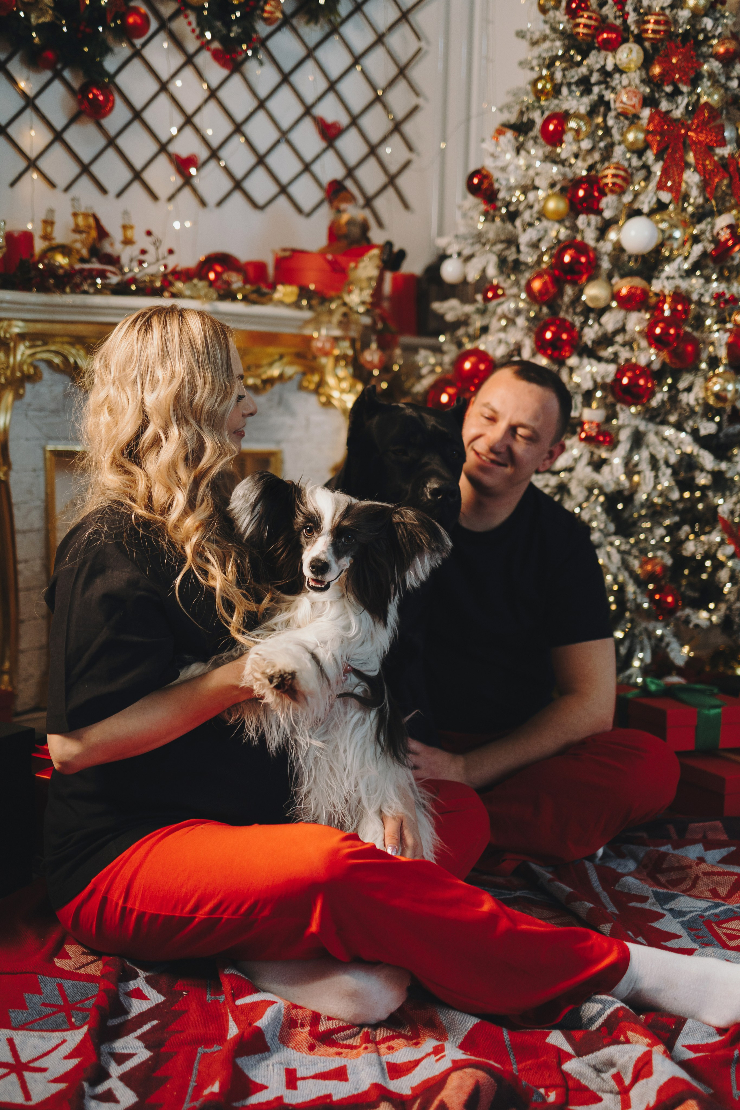 Владимир, Кристина, Айза, Панда. Фотограф — анималист Владивосток, Алина