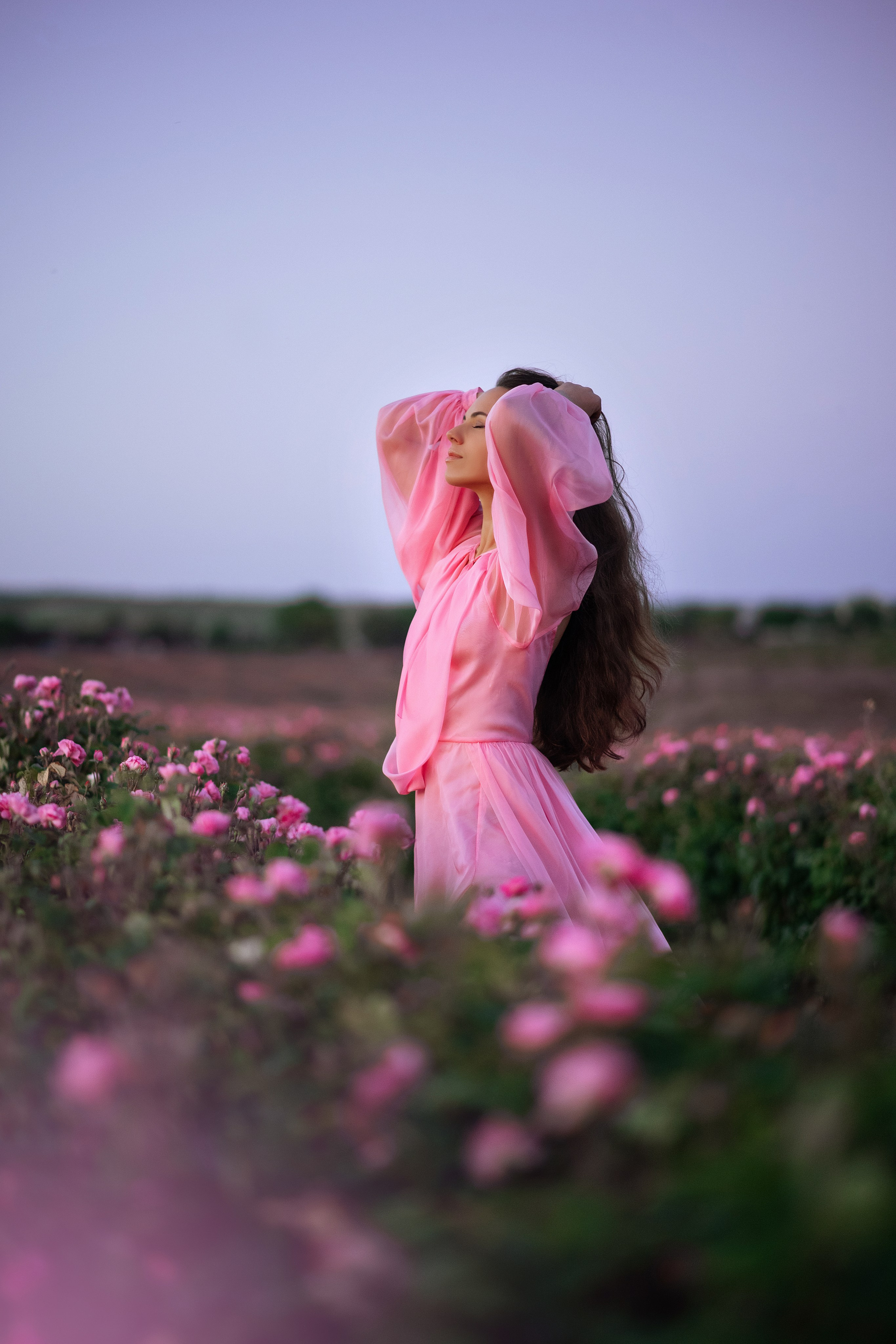 Розы. Фотограф в Крыму Дарья Колесник