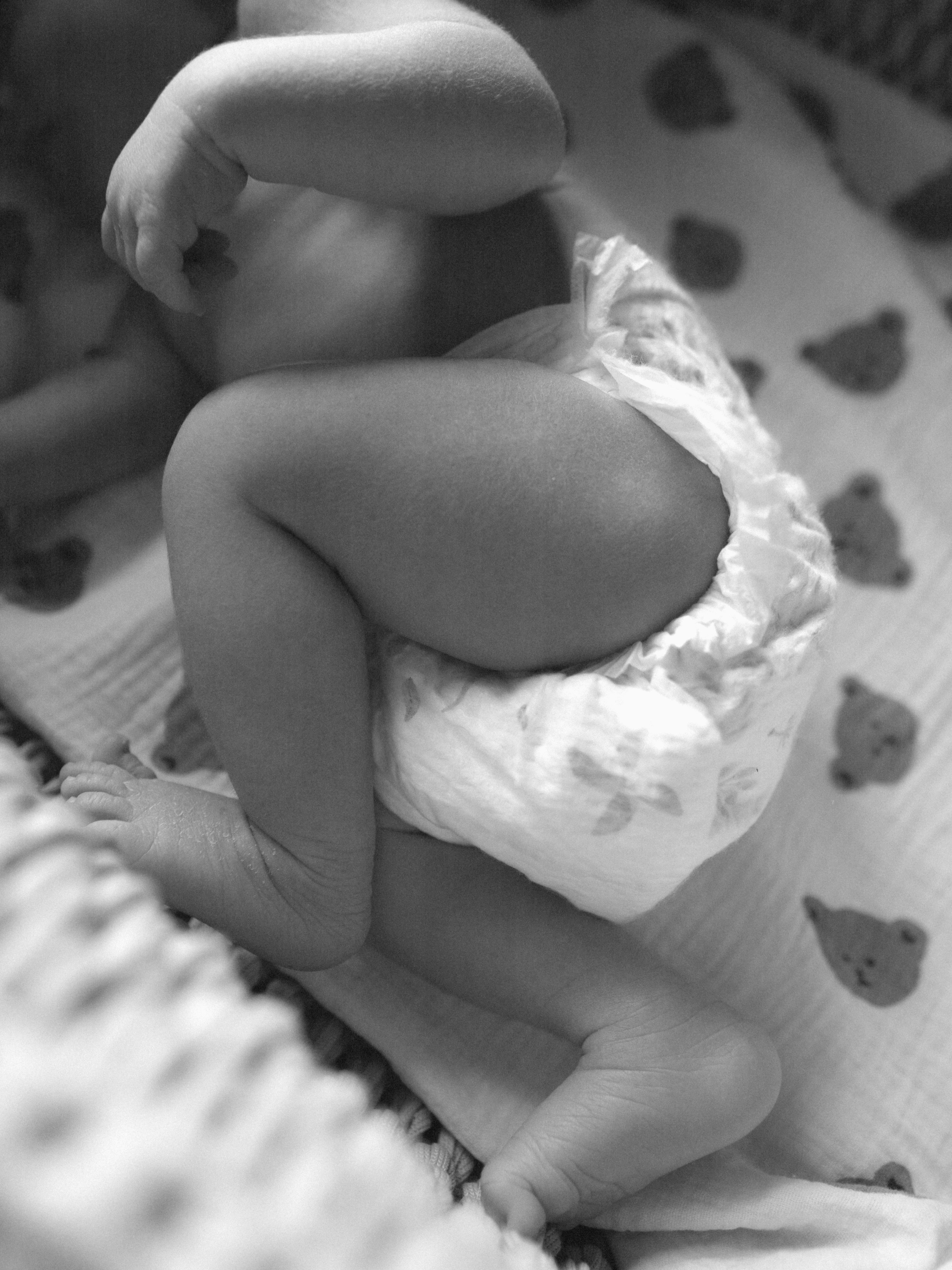 Мироша. SHILOVA PHOTO. Шилова Екатерина. Фотограф. Москва