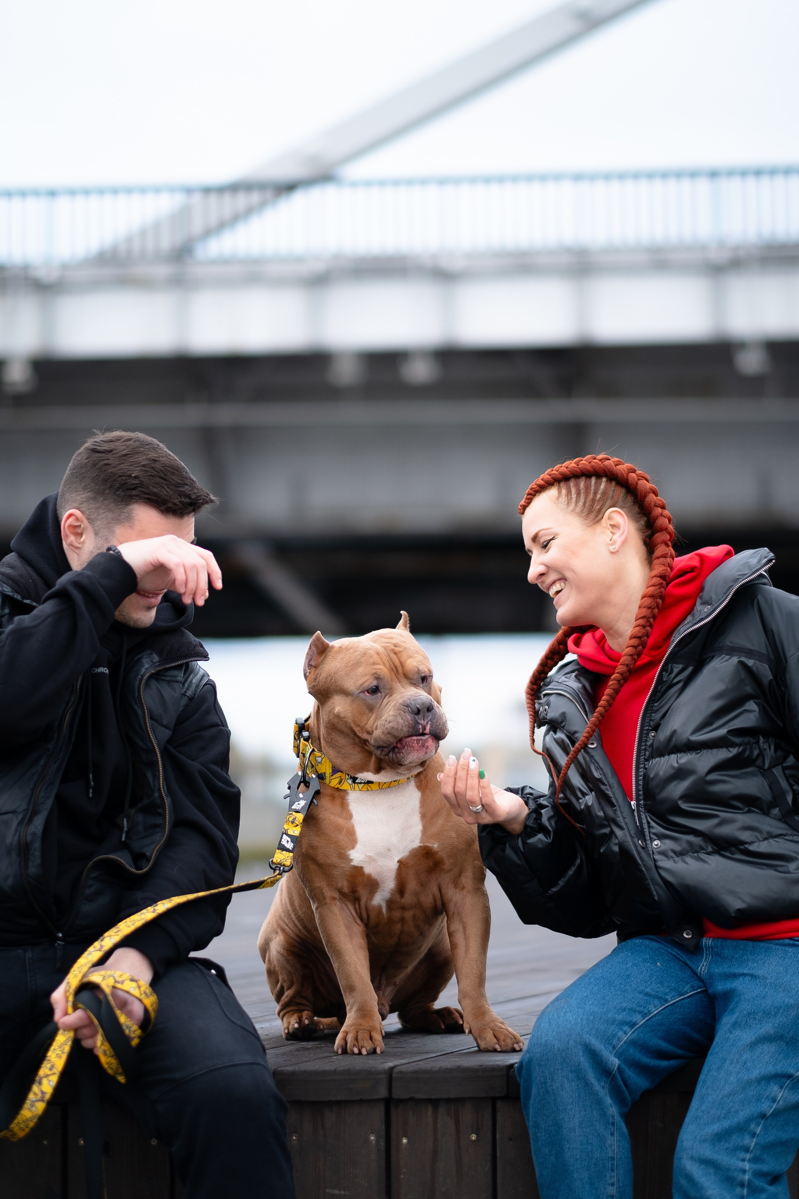 Спай и его семья. Фотограф и видеограф анималист Аганина Дарья