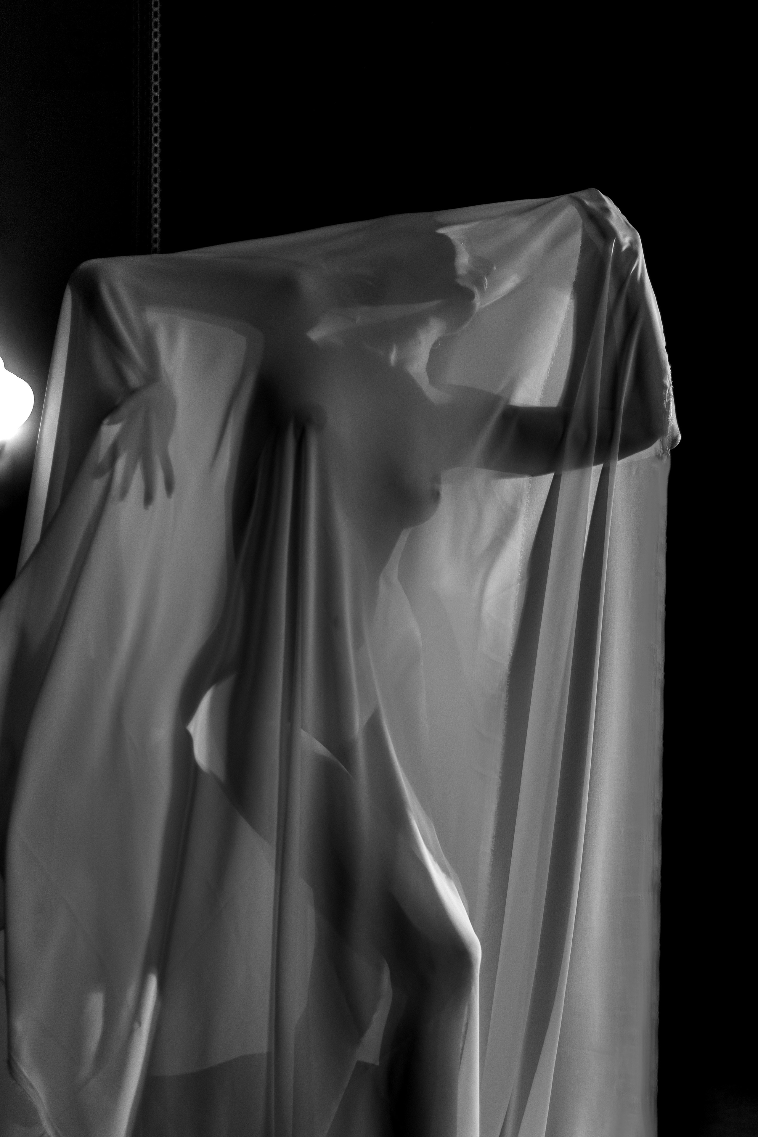 Арт-ню. Алена Борисова фотограф в Ставрополе