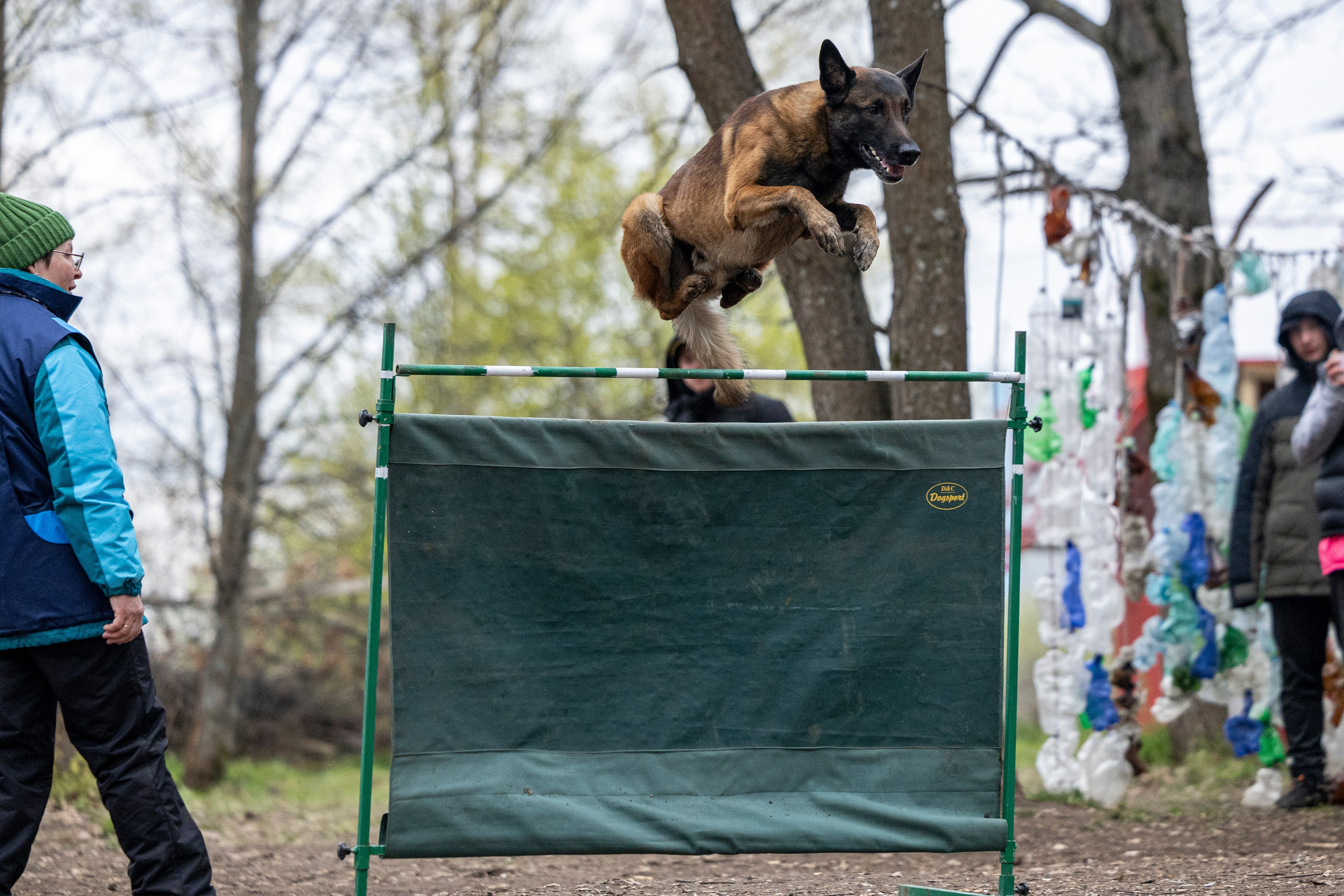 Квалификационные состязания по мондьорингу г. Вологда 11.05.24. Фотограф-анималист Анна Маринич